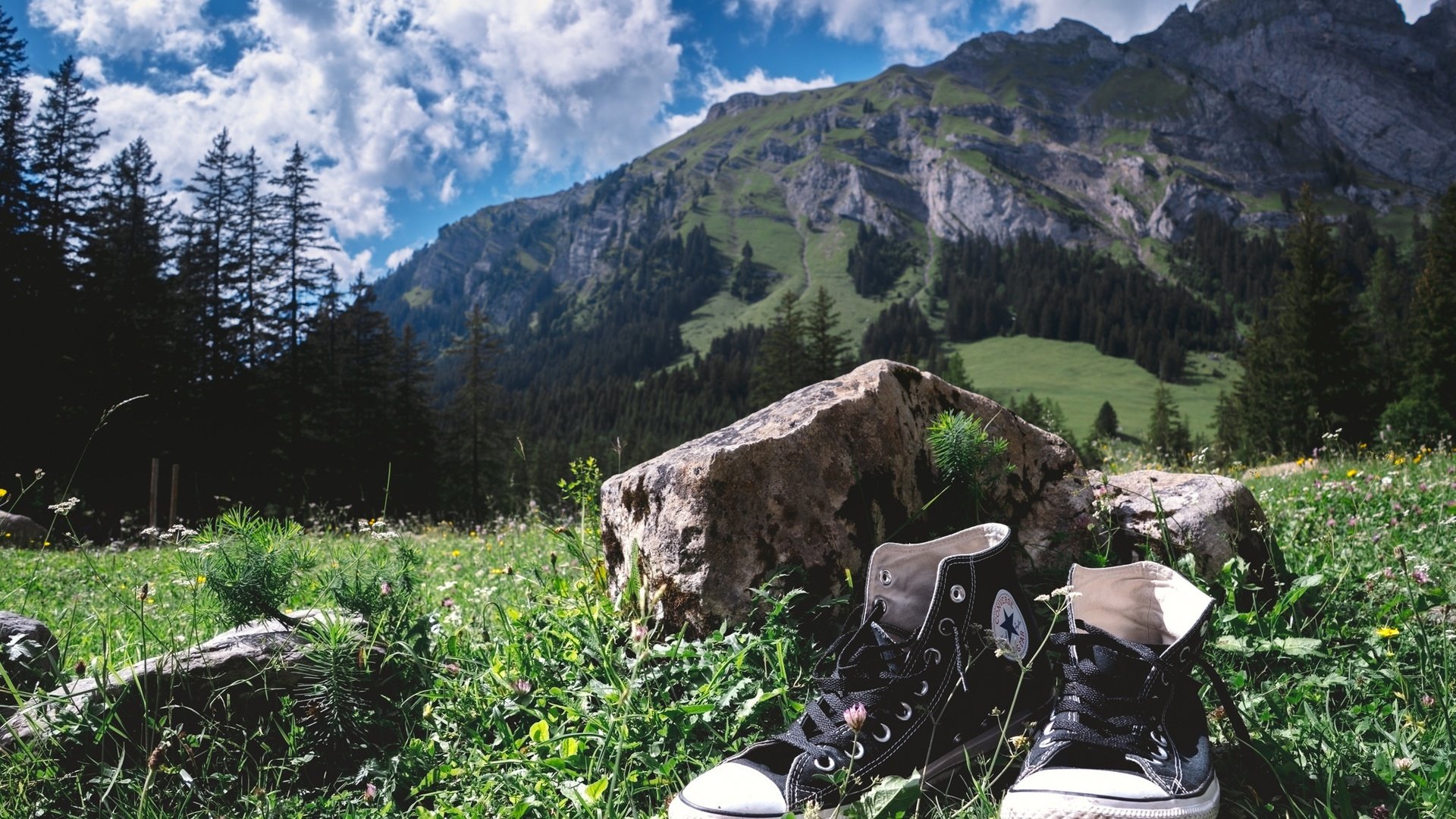 Обои небо, трава, облака, деревья, горы, кеды, камень, the sky, grass, clouds, trees, mountains, sneakers, stone разрешение 2048x1298 Загрузить