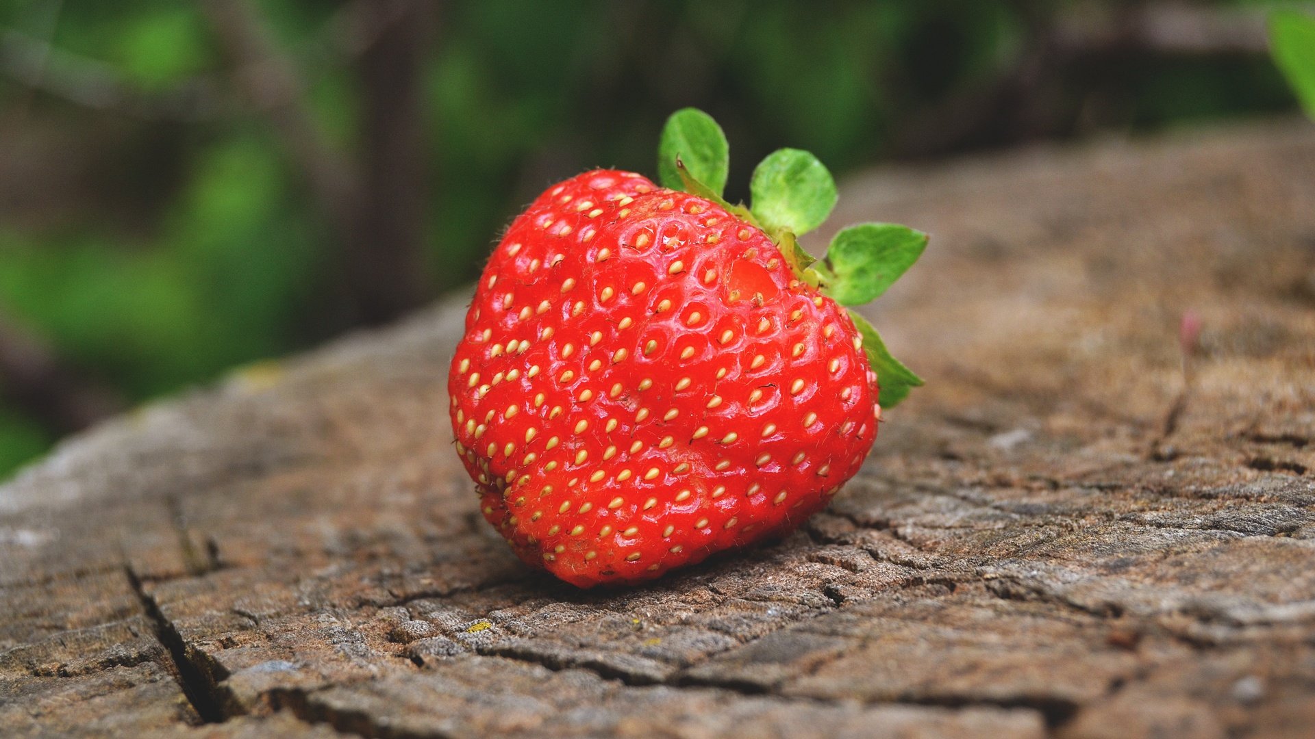 Обои макро, лето, ягода, клубника, пень, macro, summer, berry, strawberry, stump разрешение 4608x3072 Загрузить