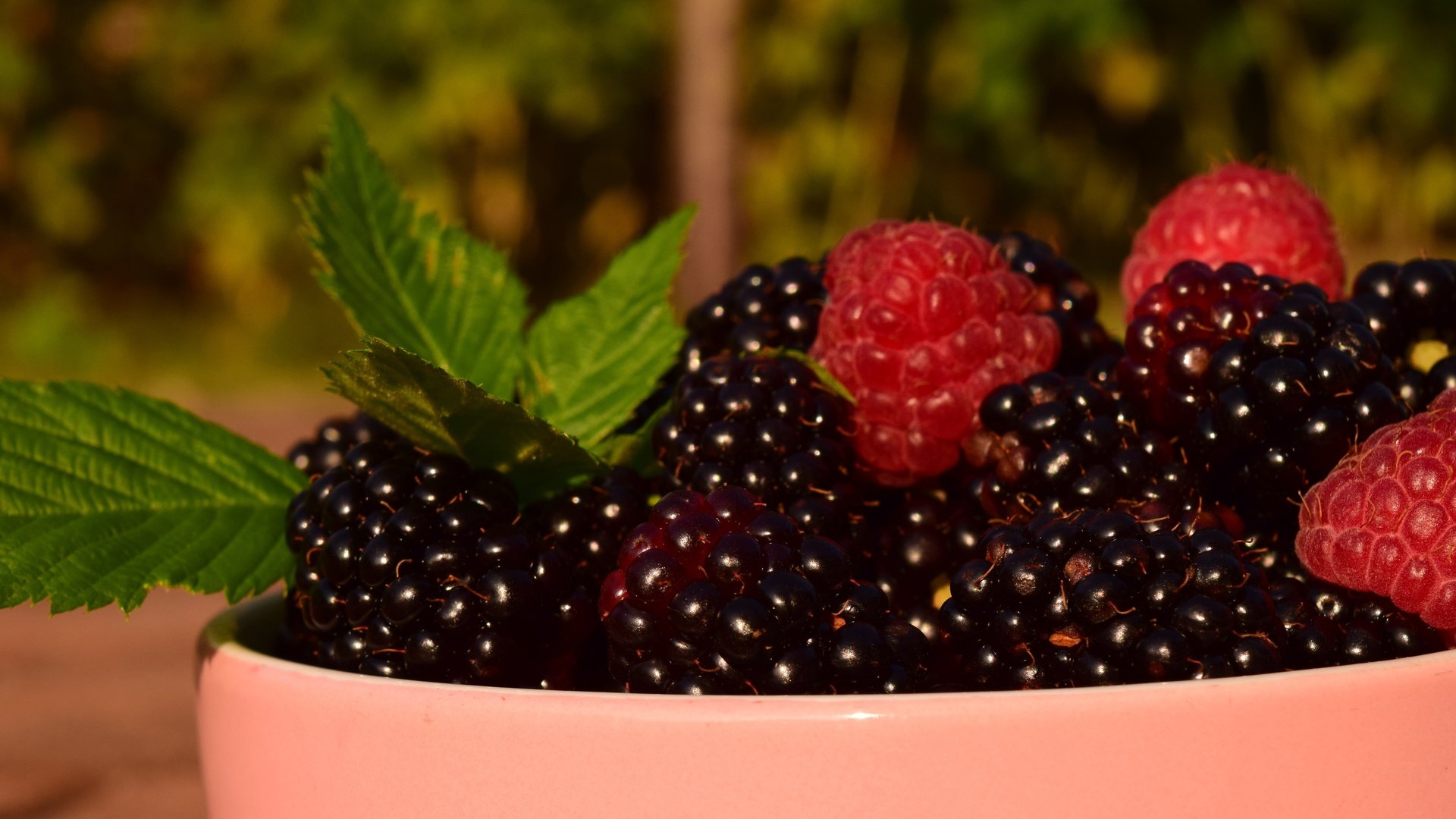 Обои листья, макро, малина, ягоды, чашка, ежевика, leaves, macro, raspberry, berries, cup, blackberry разрешение 6000x3375 Загрузить