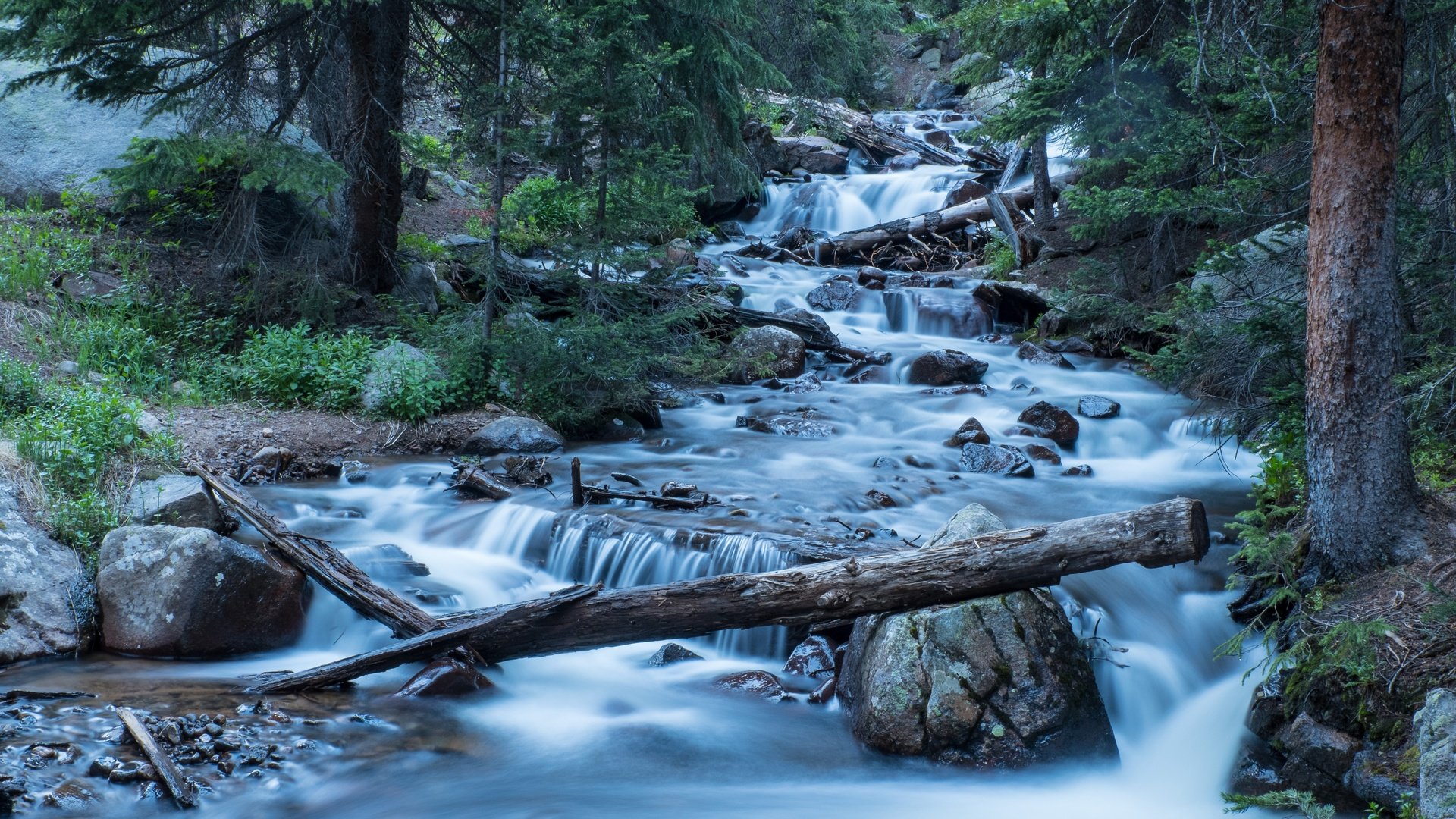 Обои деревья, река, лес, колорадо, каскад, trees, river, forest, colorado, cascade разрешение 5518x3679 Загрузить