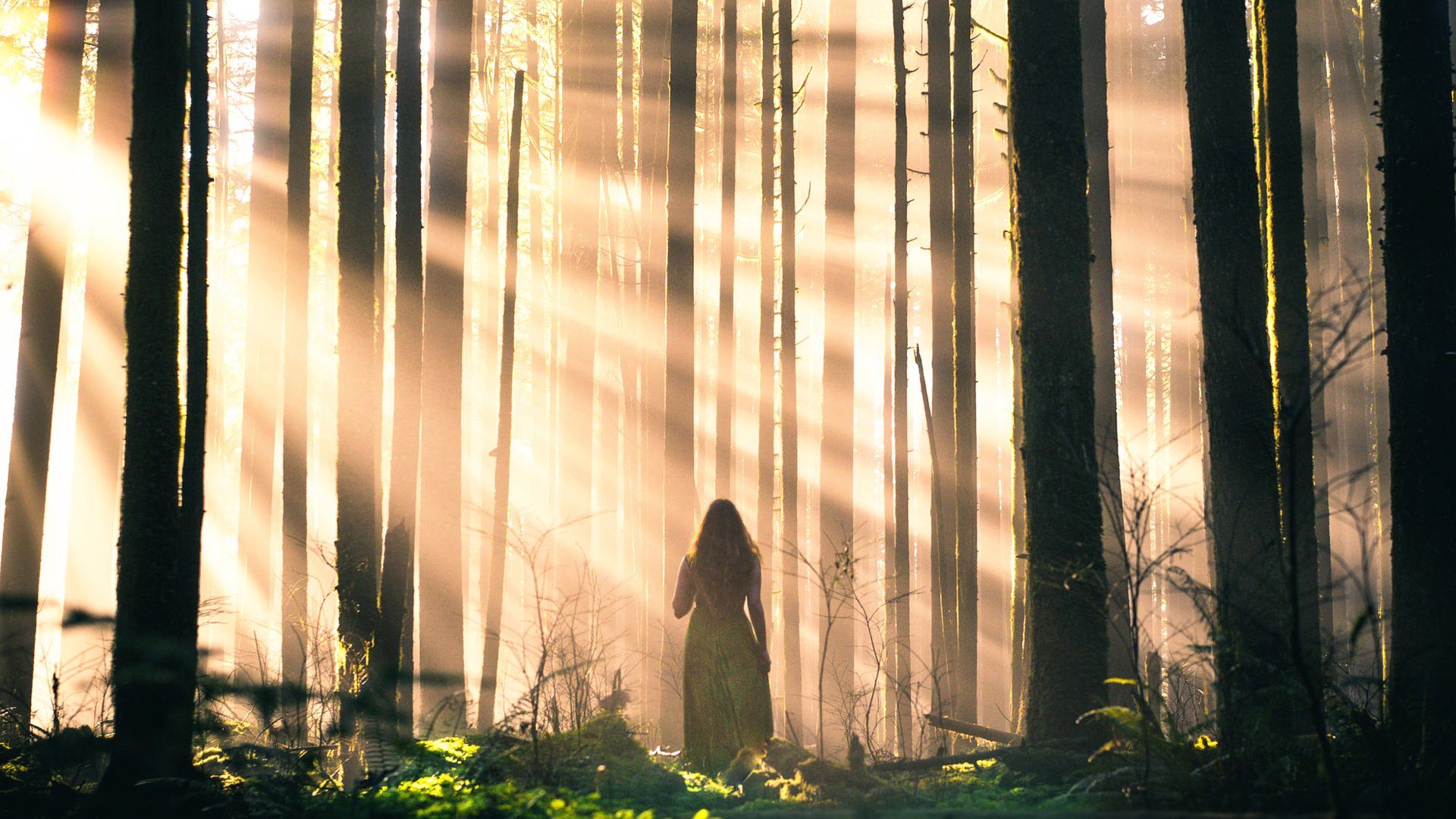 Обои свет, деревья, лес, девушка, лучи, стволы, lizzy gadd, light, trees, forest, girl, rays, trunks разрешение 2000x1333 Загрузить