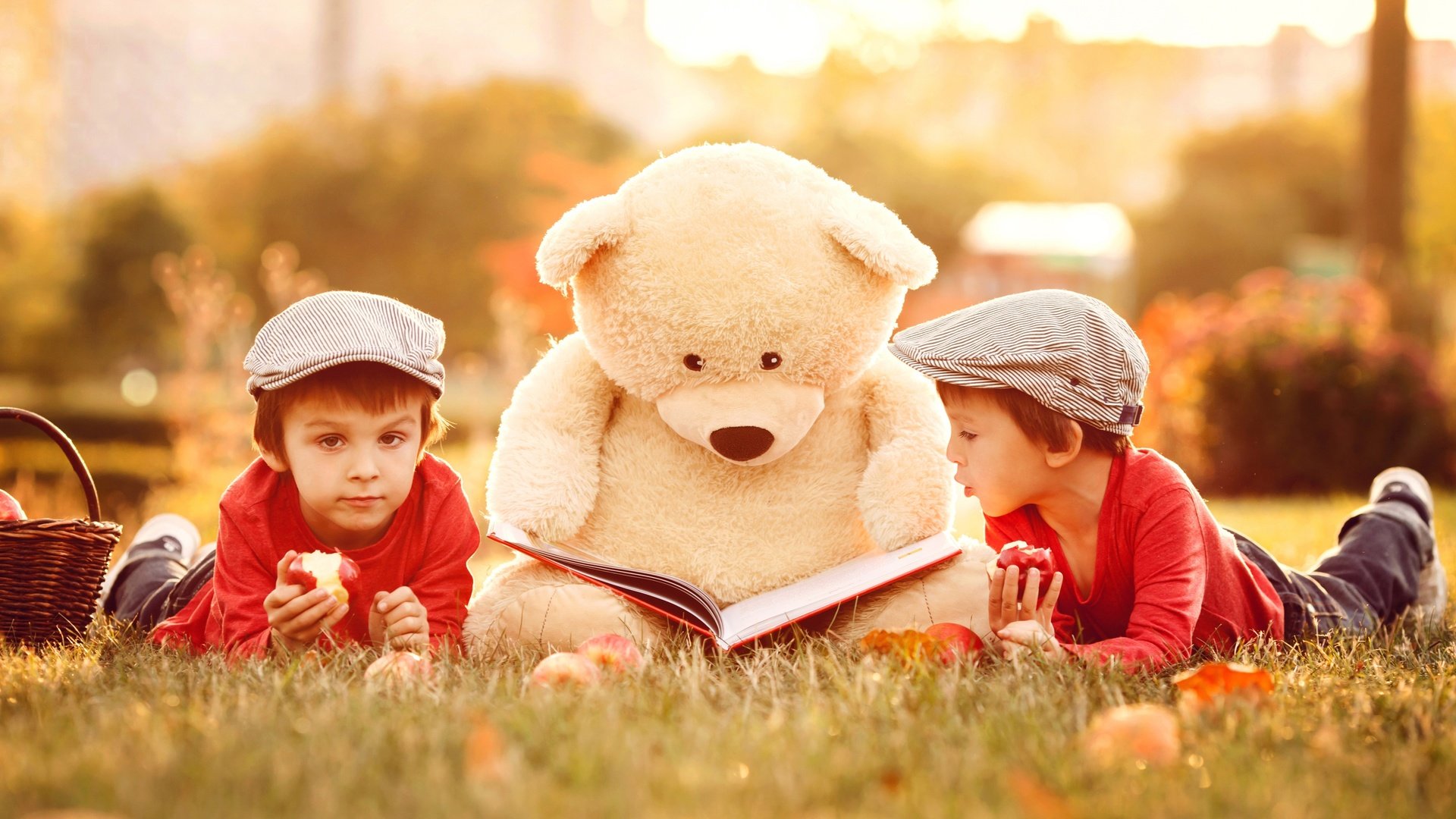 Обои трава, природа, медведь, дети, игрушка, книга, мальчики, grass, nature, bear, children, toy, book, boys разрешение 6000x4000 Загрузить