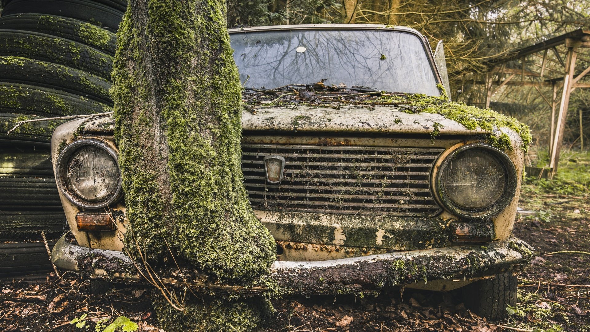 Обои дерево, авто, мох, лом, жигули, tree, auto, moss, scrap, lada разрешение 2048x1367 Загрузить