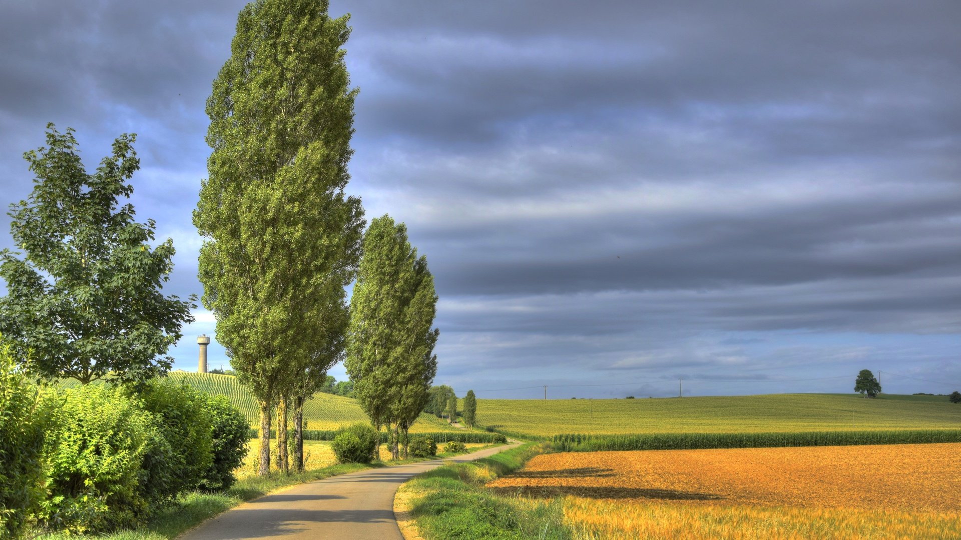 Обои небо, дорога, облака, деревья, поле, франция, лотарингия, trieux, the sky, road, clouds, trees, field, france, lorraine разрешение 5999x3999 Загрузить