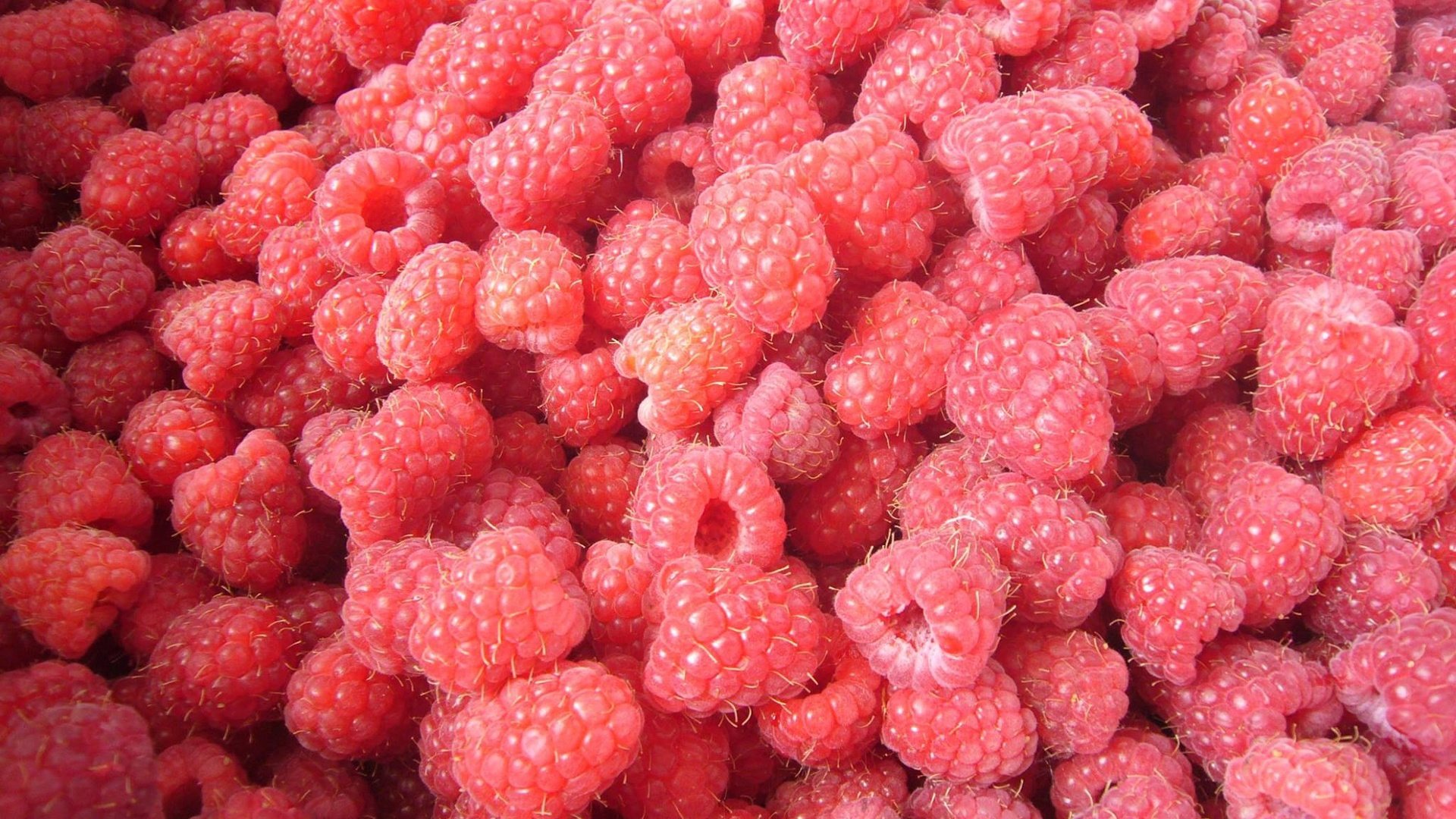 Обои малина, лето, ягоды, raspberry, summer, berries разрешение 2048x1536 Загрузить