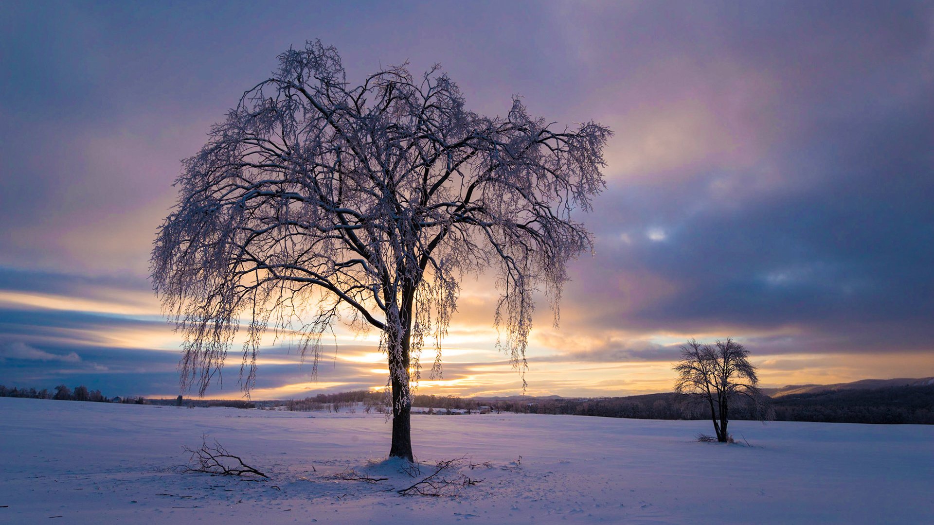 Обои небо, облака, деревья, снег, природа, закат, зима, the sky, clouds, trees, snow, nature, sunset, winter разрешение 1920x1200 Загрузить