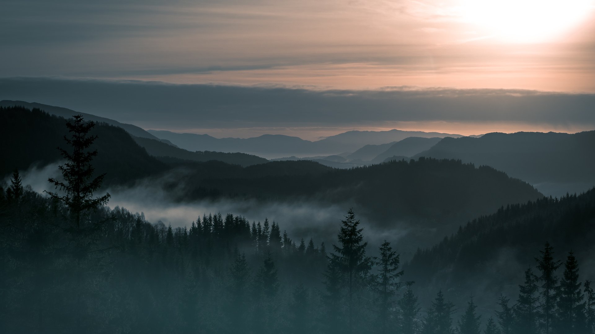 Обои деревья, горы, лес, пейзаж, туман, норвегия, trees, mountains, forest, landscape, fog, norway разрешение 4903x3369 Загрузить