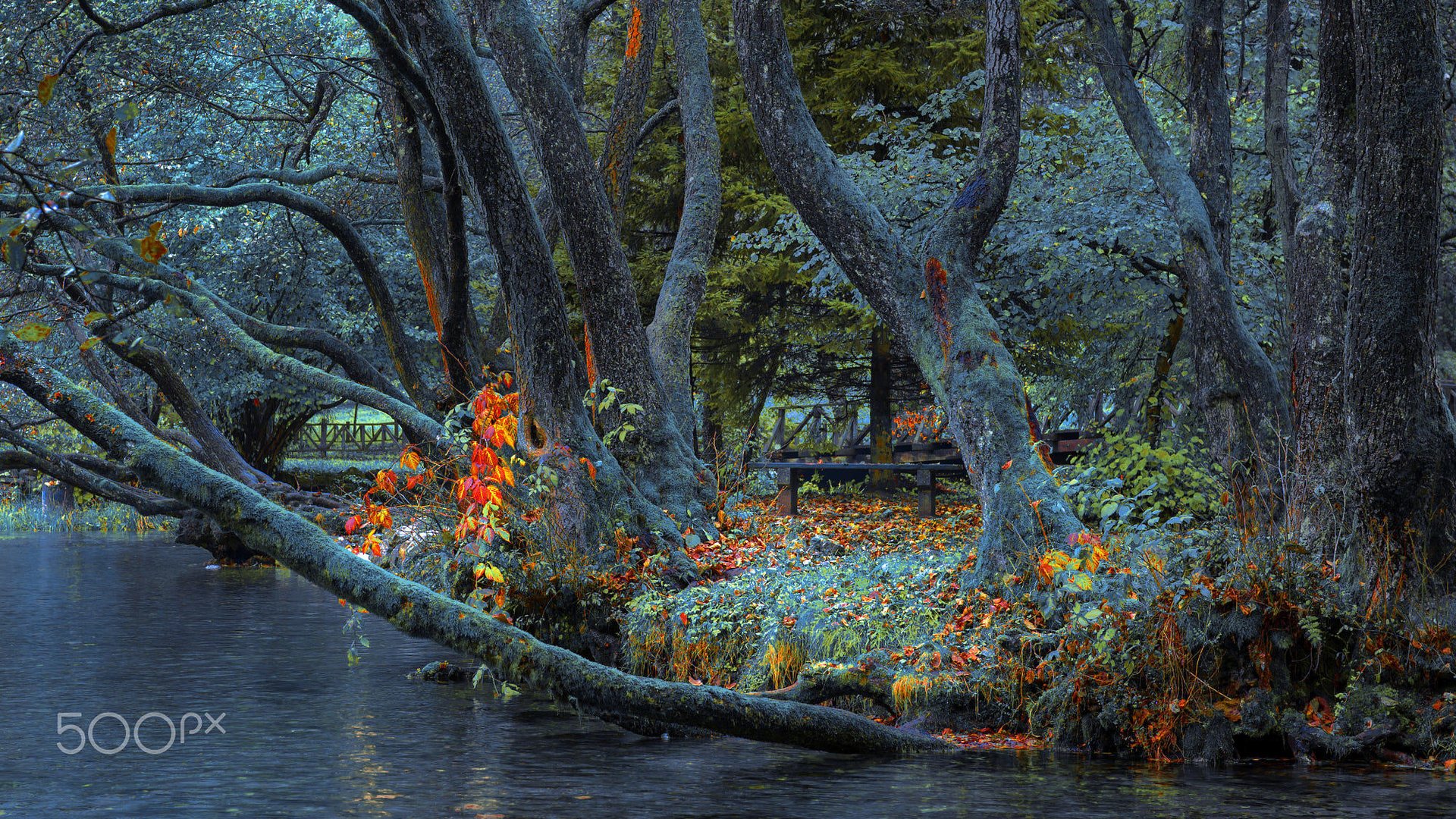 Обои деревья, река, природа, парк, стволы, забор, скамейка, mevludin sejmenovic, trees, river, nature, park, trunks, the fence, bench разрешение 2000x1218 Загрузить