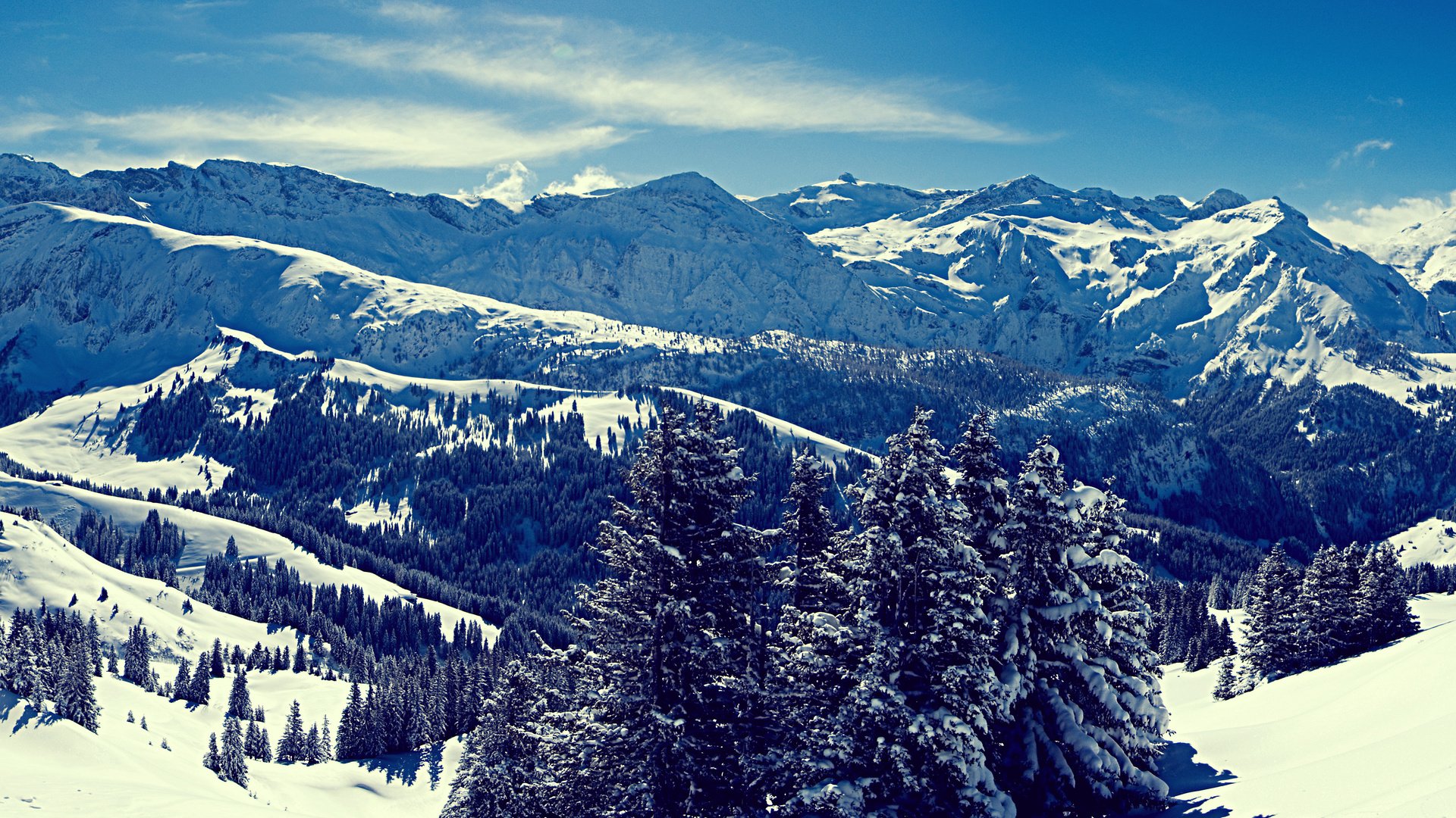 Обои небо, деревья, горы, снег, лес, зима, снежные вершины, the sky, trees, mountains, snow, forest, winter, snowy peaks разрешение 3571x2678 Загрузить