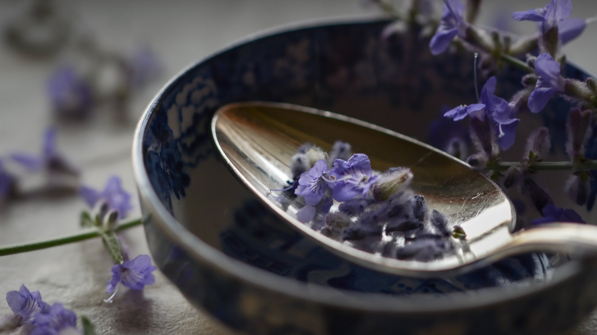 Обои цветы, макро, лаванда, ложка, flowers, macro, lavender, spoon разрешение 2560x1707 Загрузить