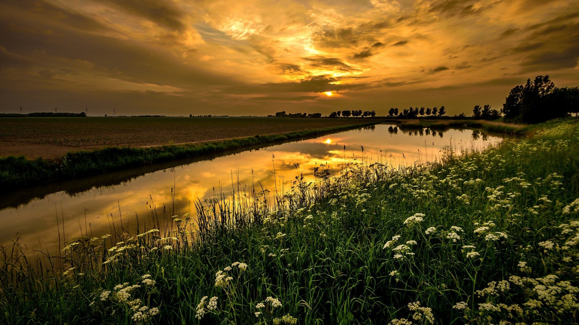 Обои небо, горизонт, цветы, облака, река, природа, растения, пейзаж, поле, the sky, horizon, flowers, clouds, river, nature, plants, landscape, field разрешение 2048x1152 Загрузить