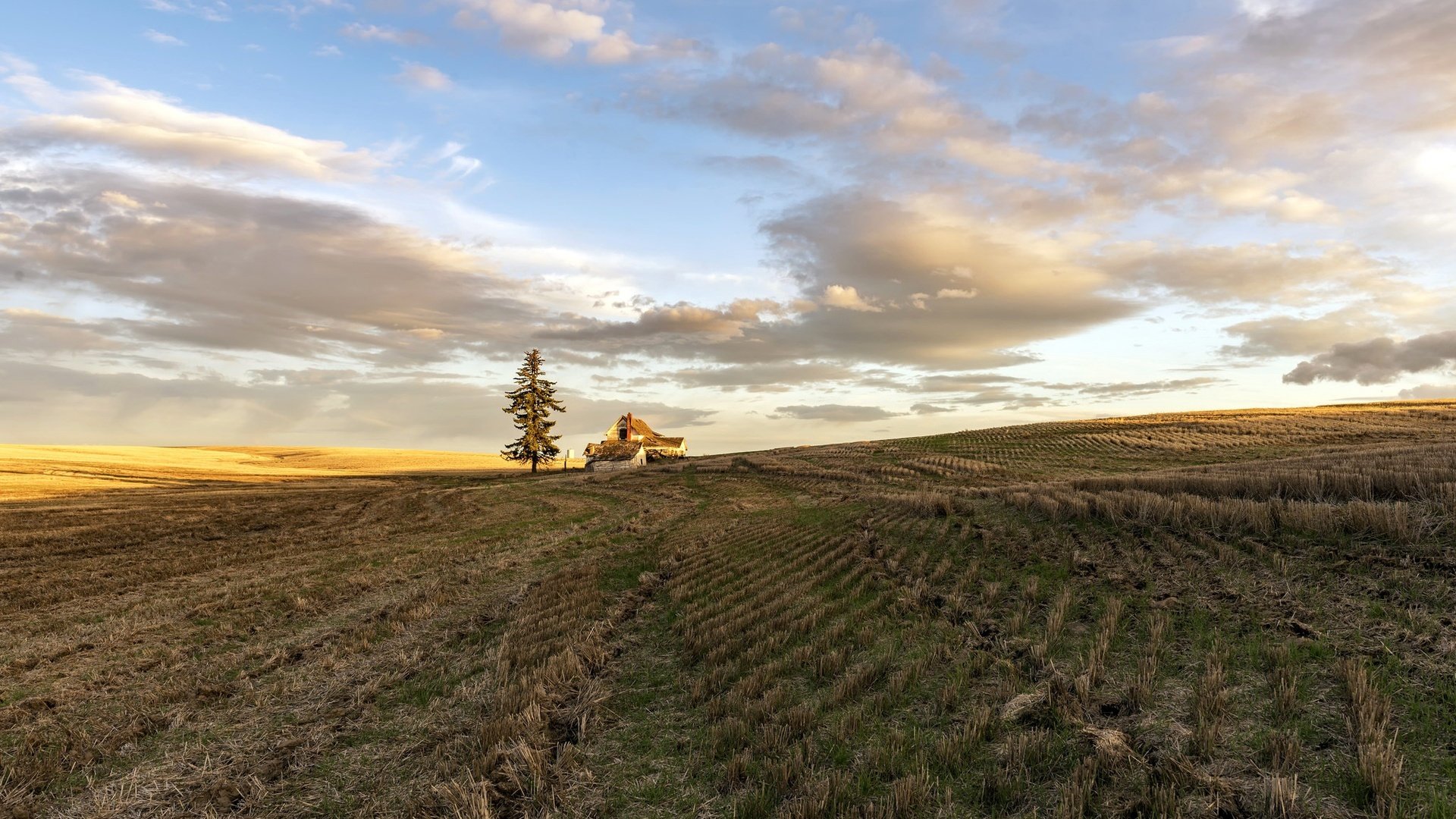 Обои небо, дом, свет, облака, природа, дерево, утро, поле, горизонт, the sky, house, light, clouds, nature, tree, morning, field, horizon разрешение 2048x1367 Загрузить