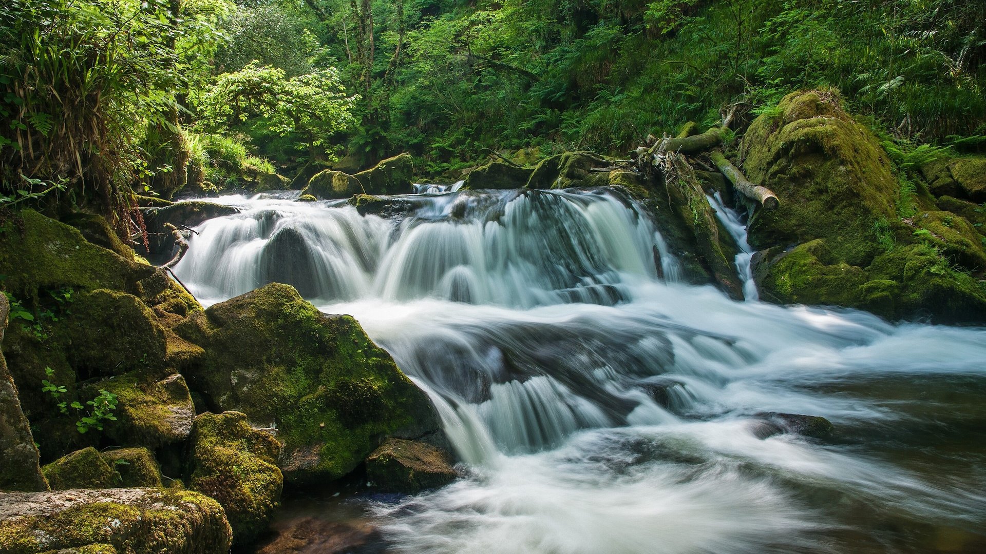 Обои деревья, река, природа, камни, лес, водопад, мох, trees, river, nature, stones, forest, waterfall, moss разрешение 2880x1800 Загрузить