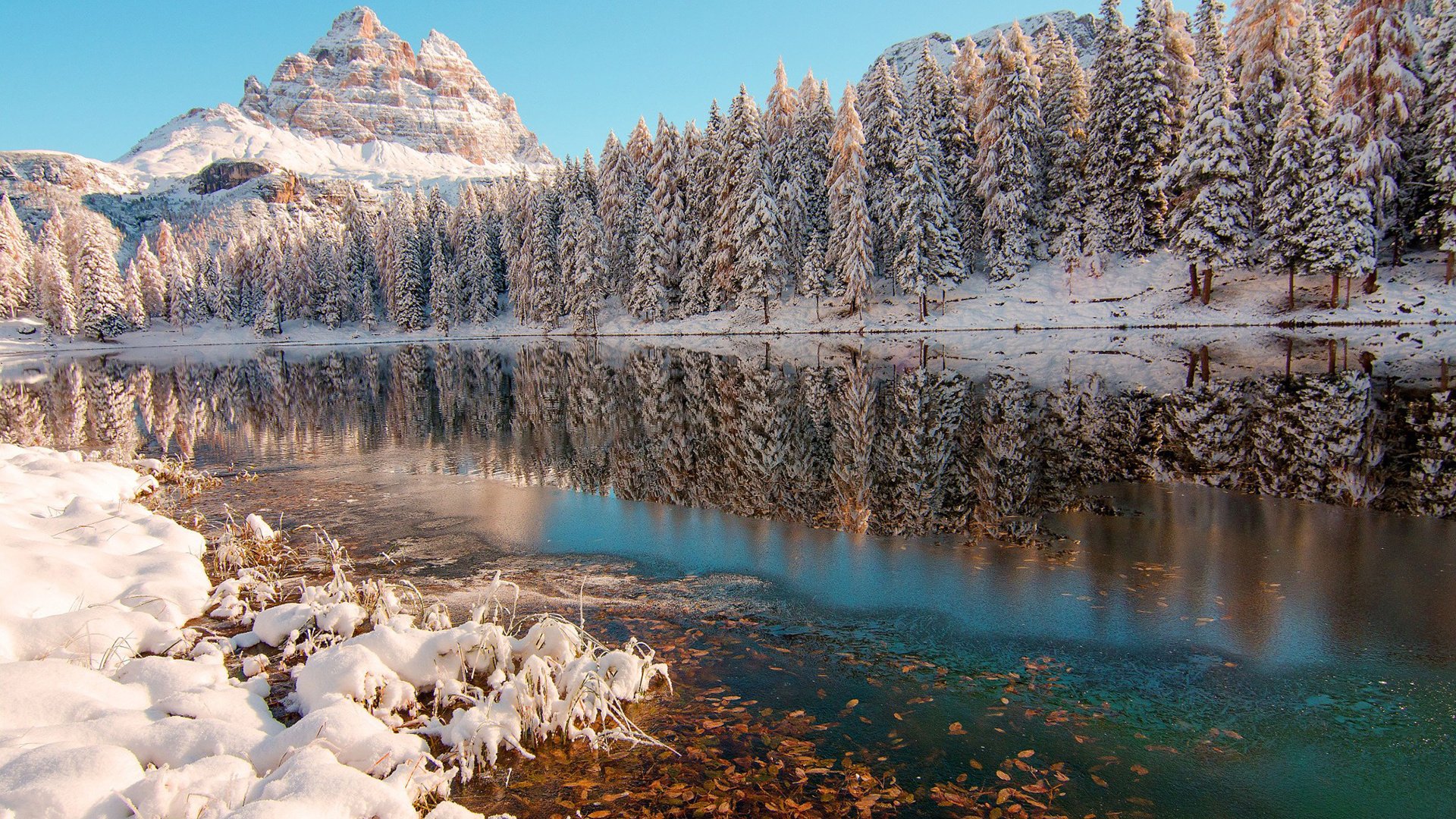 Обои деревья, река, горы, снег, природа, лес, зима, отражение, trees, river, mountains, snow, nature, forest, winter, reflection разрешение 1920x1200 Загрузить