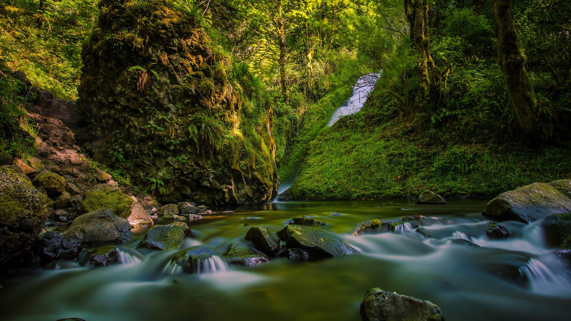 Обои река, скалы, природа, лес, водопад, river, rocks, nature, forest, waterfall разрешение 1920x1200 Загрузить