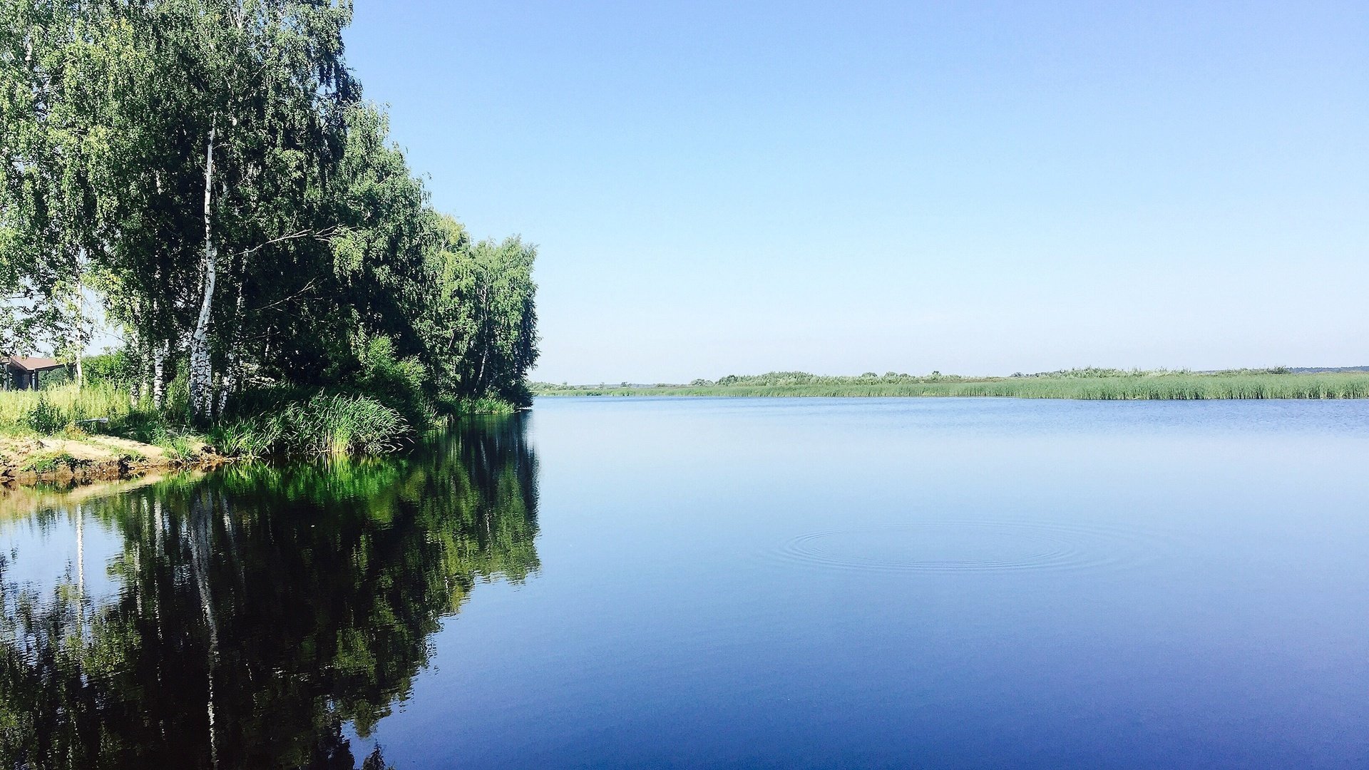 Обои небо, деревья, река, природа, отражение, березы, aristovart, the sky, trees, river, nature, reflection, birch разрешение 3264x2448 Загрузить