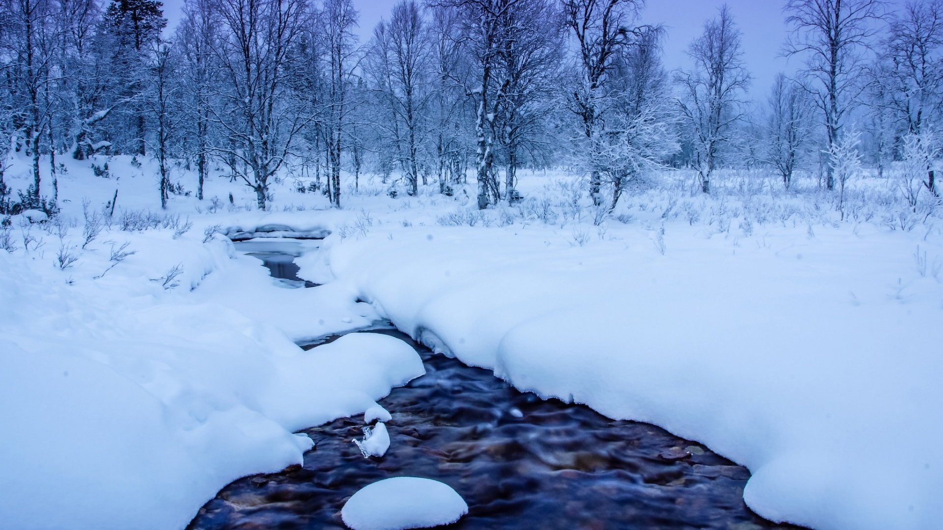 Обои деревья, река, снег, природа, лес, зима, trees, river, snow, nature, forest, winter разрешение 1920x1200 Загрузить