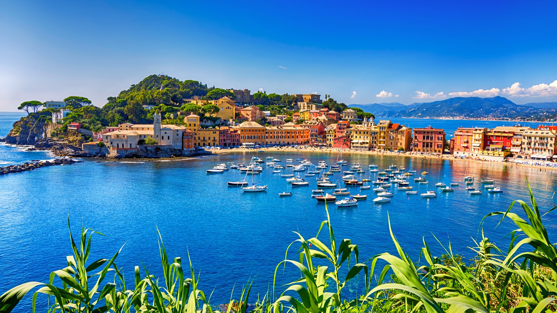 Обои море, яхты, италия, лигурия, 17, сестри леванте, sea, yachts, italy, liguria, sestri levante разрешение 4928x3264 Загрузить