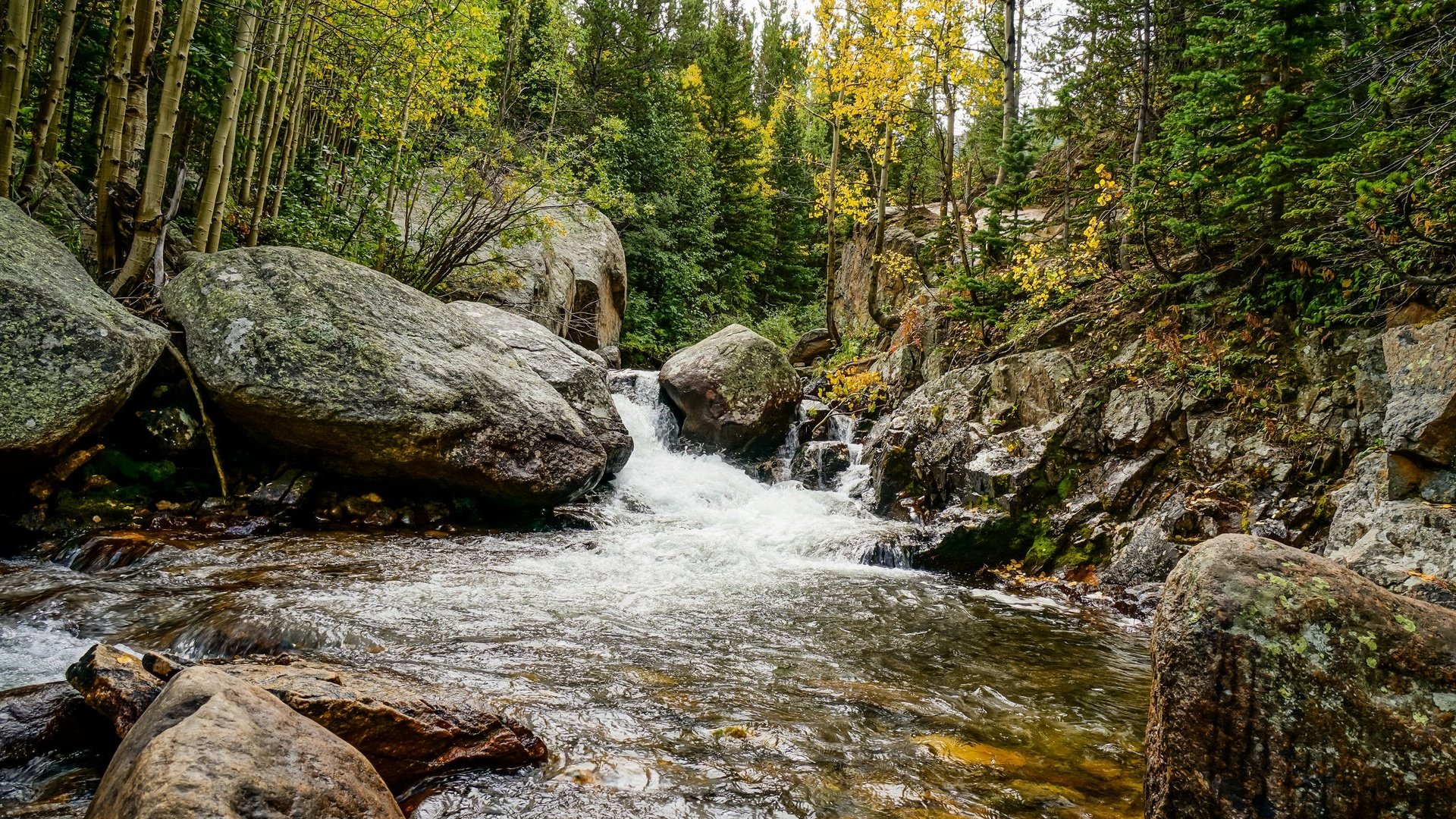 Обои деревья, река, камни, лес, осень, поток, trees, river, stones, forest, autumn, stream разрешение 2048x1365 Загрузить