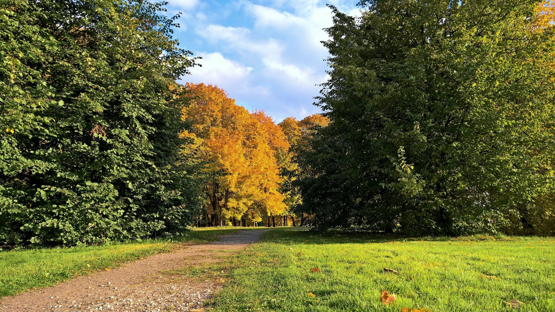 Обои деревья, парк, дорожка, листва, осень, лужайка, золотая осень, trees, park, track, foliage, autumn, lawn, golden autumn разрешение 5344x3008 Загрузить