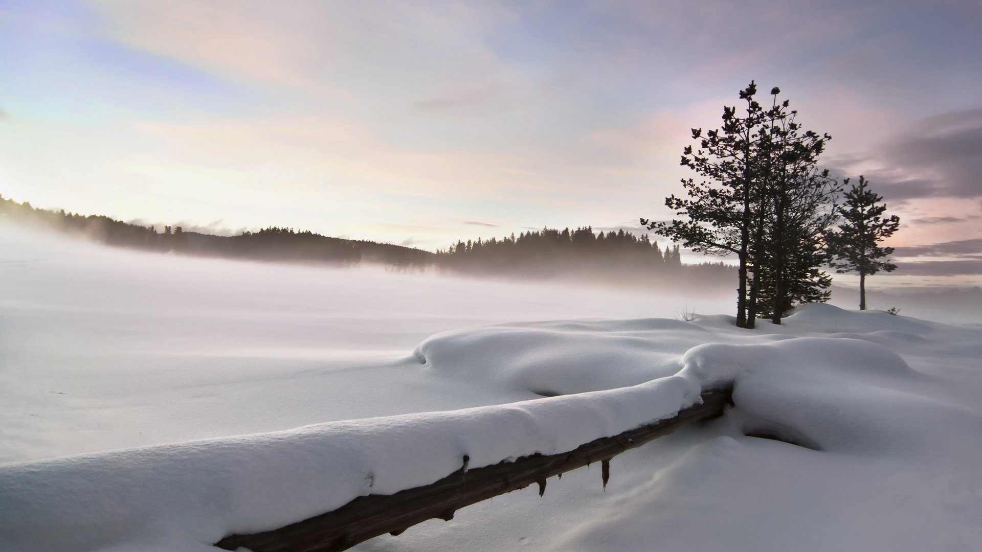 Обои снег, природа, зима, пейзаж, забор, strahil dimitrov, snow, nature, winter, landscape, the fence разрешение 3840x2400 Загрузить