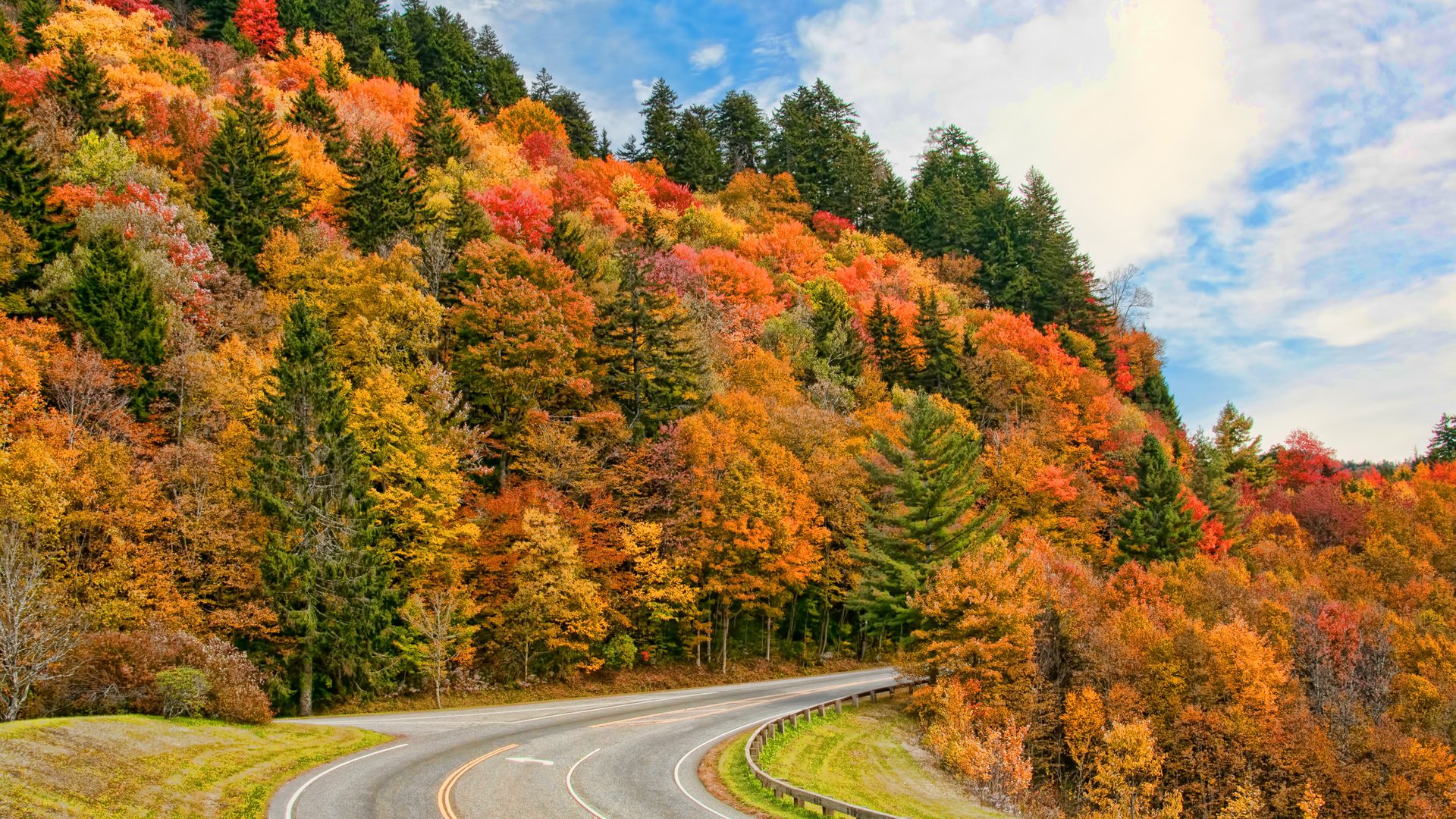 Обои небо, дорога, облака, деревья, природа, лес, осень, timothy r wildey, the sky, road, clouds, trees, nature, forest, autumn разрешение 3840x2400 Загрузить