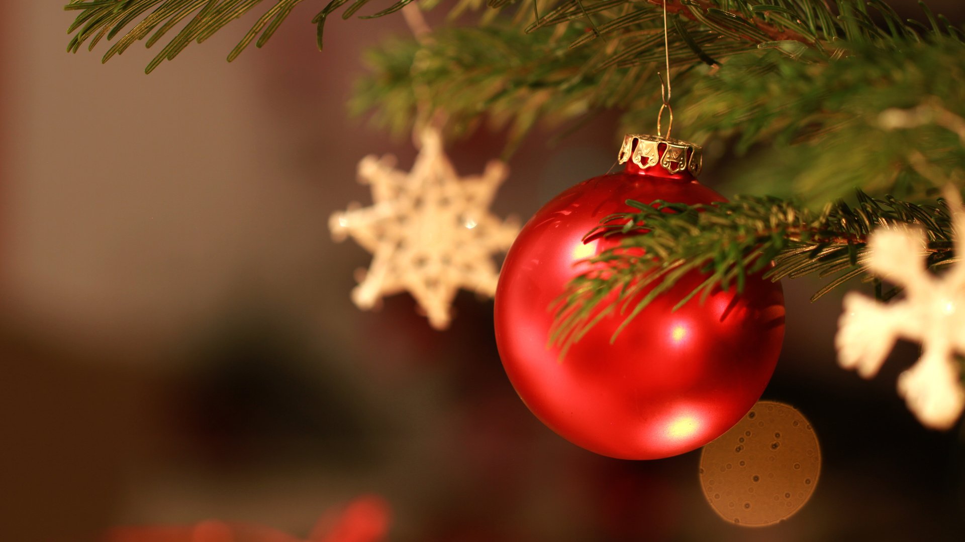 Обои новый год, елка, звезды, шар, рождество, елочные игрушки, jonas haase, new year, tree, stars, ball, christmas, christmas decorations разрешение 3840x2400 Загрузить