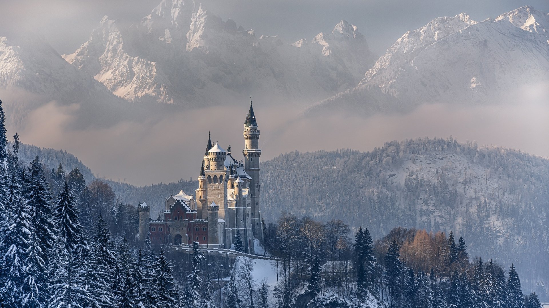 Обои горы, лес, зима, замок, германия, нойшванштайн, бавария, achim thomae, mountains, forest, winter, castle, germany, neuschwanstein, bayern разрешение 1920x1200 Загрузить