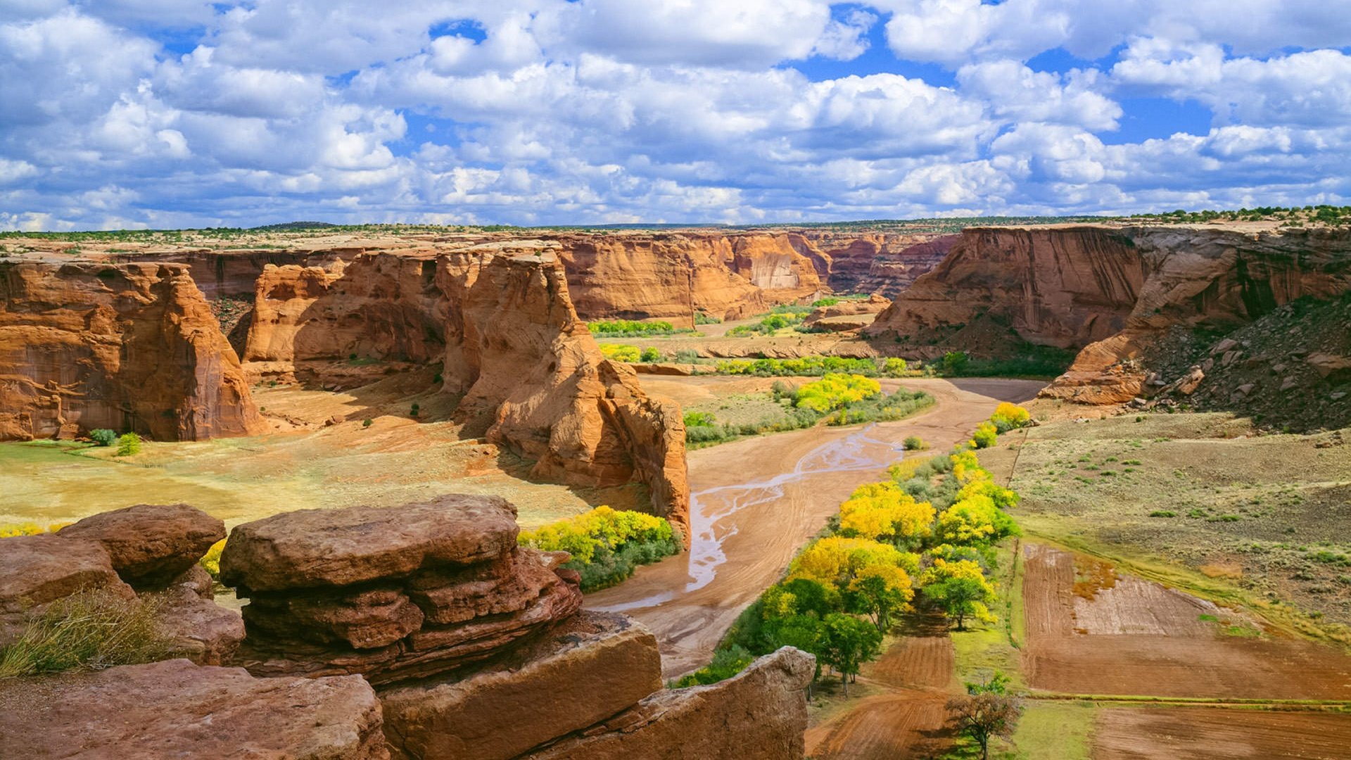 Обои небо, цветы, облака, скалы, пейзаж, каньон, de chelly, the sky, flowers, clouds, rocks, landscape, canyon разрешение 3840x2160 Загрузить