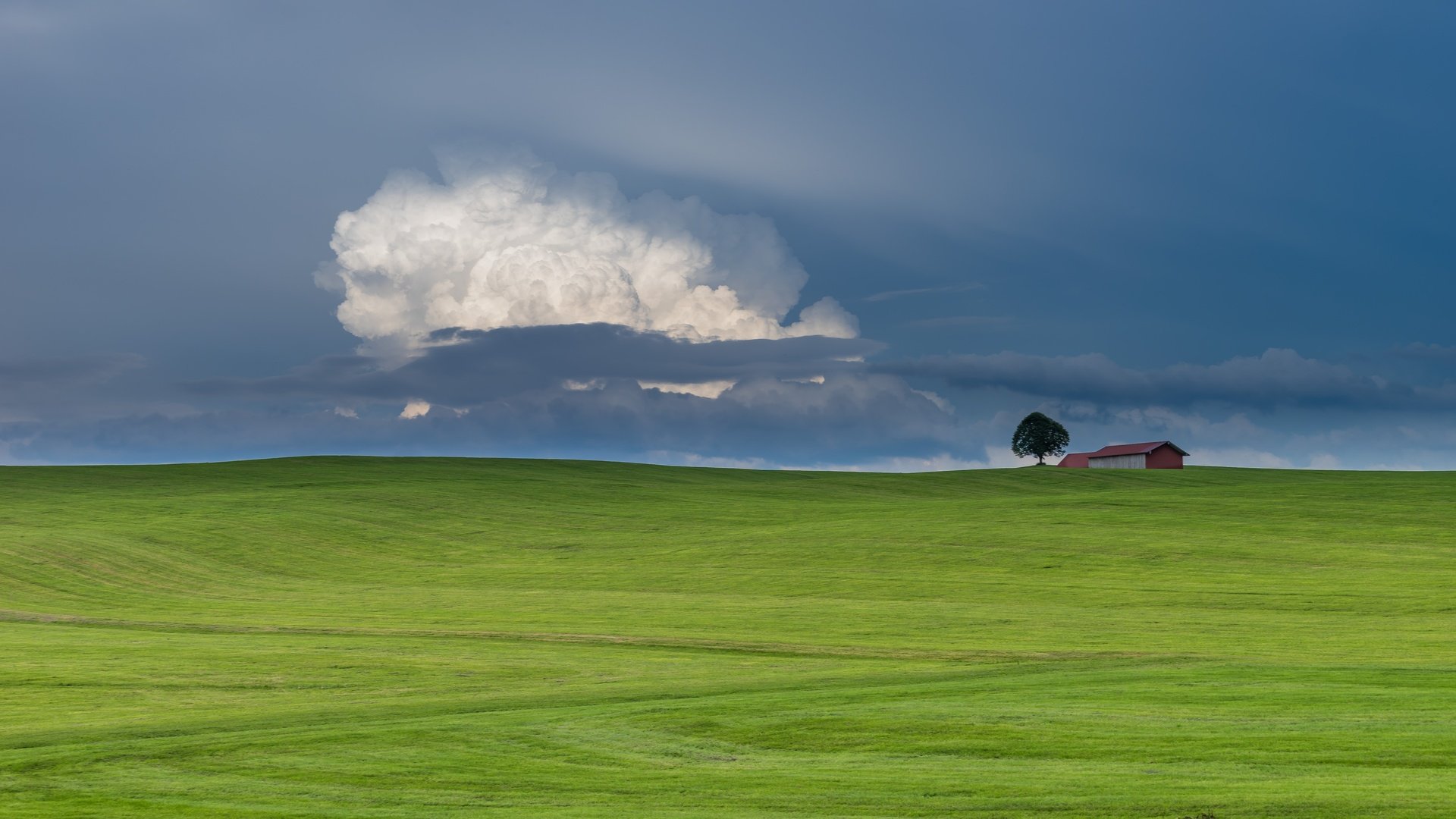 Обои облака, природа, дерево, пейзаж, поле, горизонт, дом, голубое небо, clouds, nature, tree, landscape, field, horizon, house, blue sky разрешение 6000x4000 Загрузить