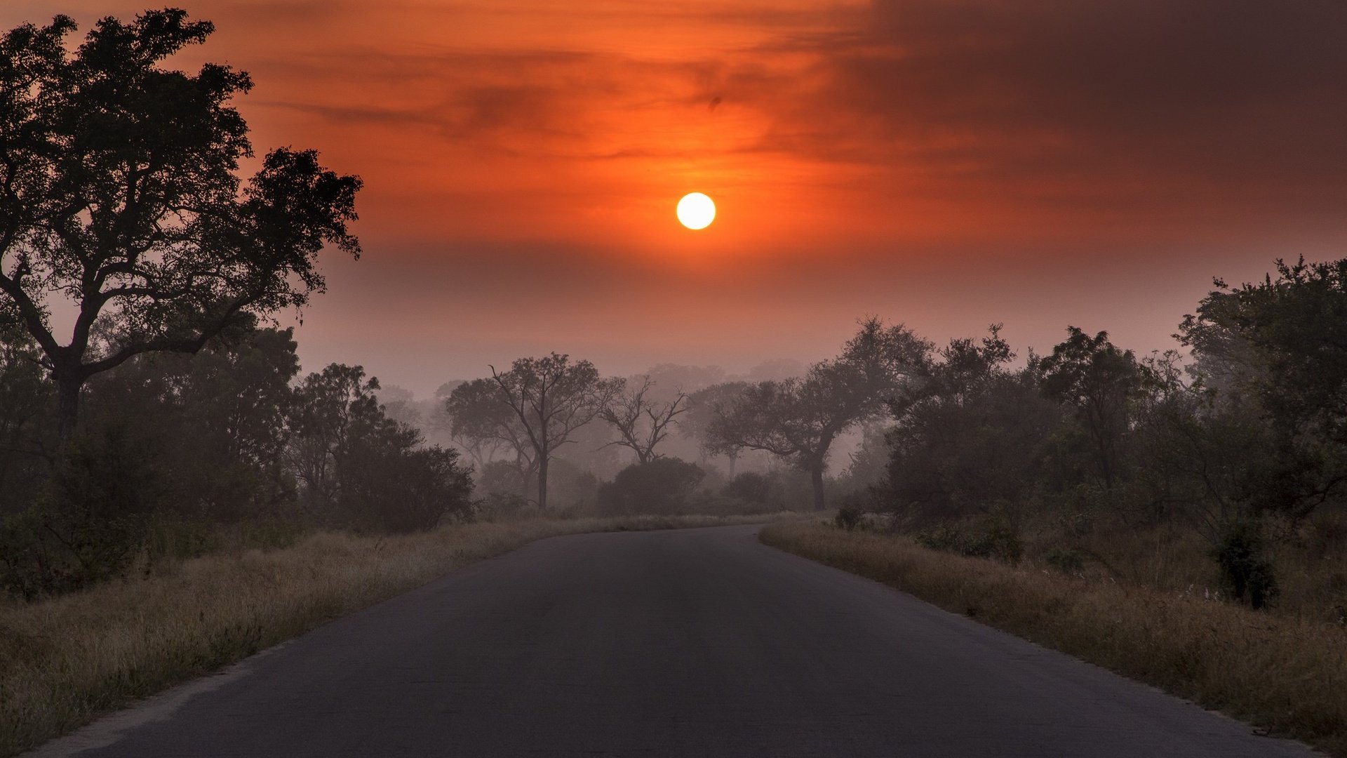 Обои дорога, облака, деревья, солнце, закат, пейзаж, туман, сумерки, road, clouds, trees, the sun, sunset, landscape, fog, twilight разрешение 2048x1118 Загрузить