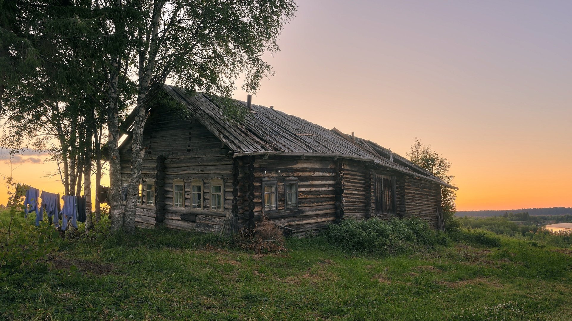 Обои трава, березы, лето, деревня, дом, архангельская область, печище, grass, birch, summer, village, house, arkhangelsk oblast, pechysche разрешение 2391x1400 Загрузить