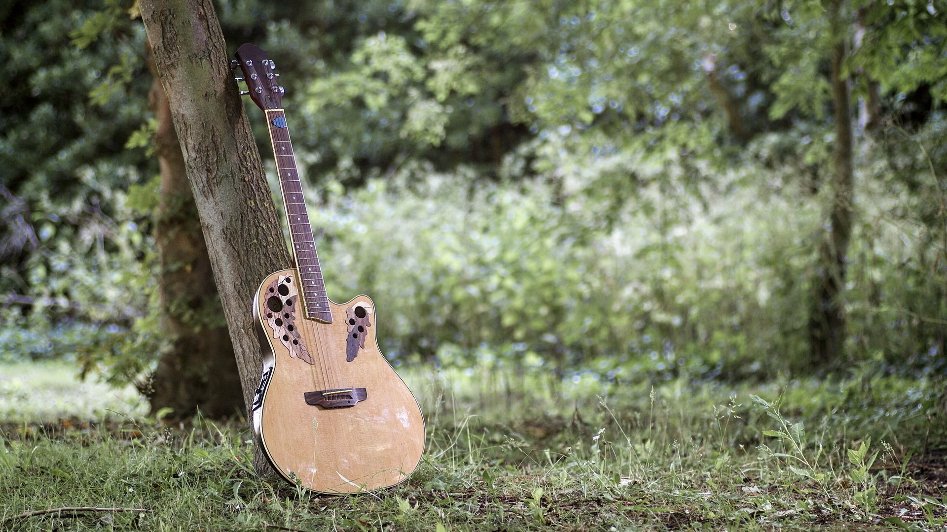 Обои трава, деревья, гитара, музыка, grass, trees, guitar, music разрешение 1920x1200 Загрузить