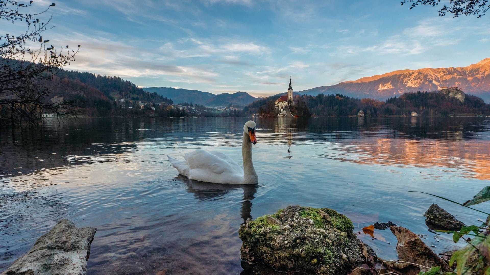 Обои озеро, горы, пейзаж, птица, альпы, лебедь, словения, блед, lake, mountains, landscape, bird, alps, swan, slovenia, bled разрешение 1920x1200 Загрузить