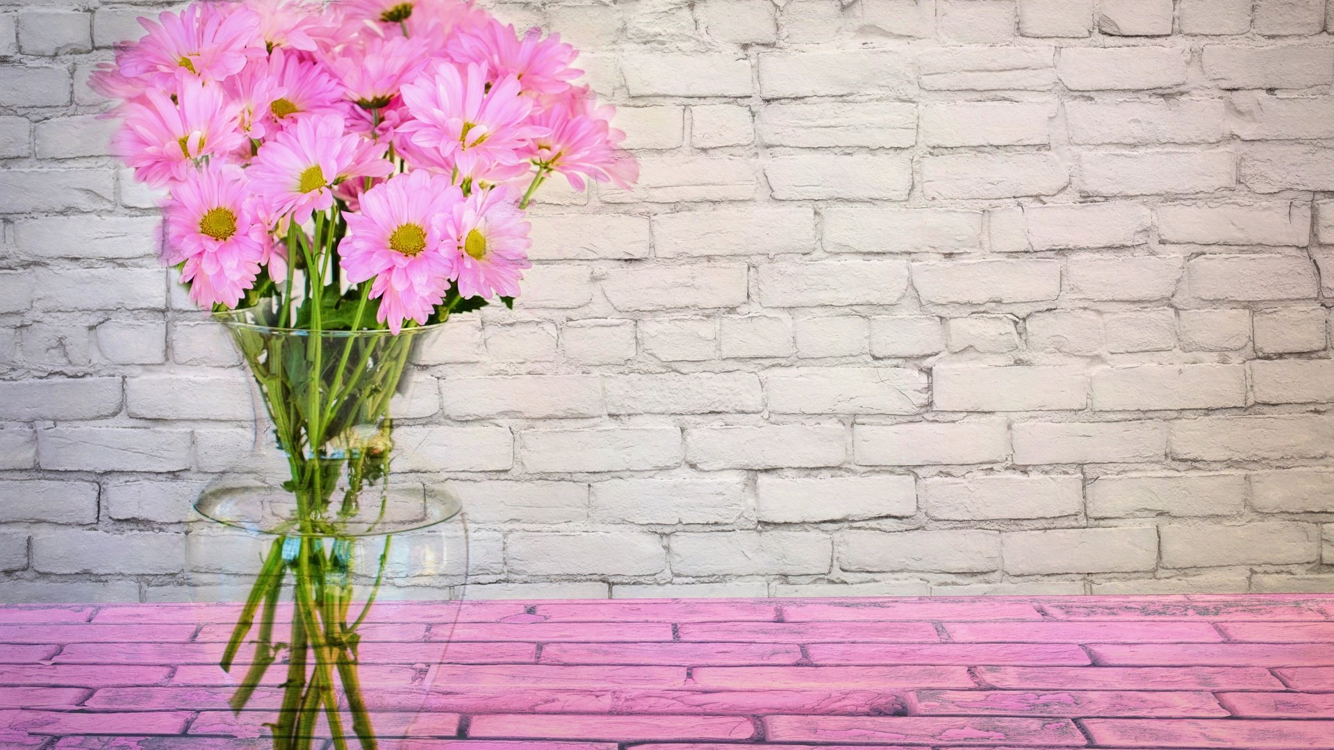 Обои цветы, букет, розовый, ваза, маргаритки, flowers, bouquet, pink, vase, daisy разрешение 5564x3710 Загрузить