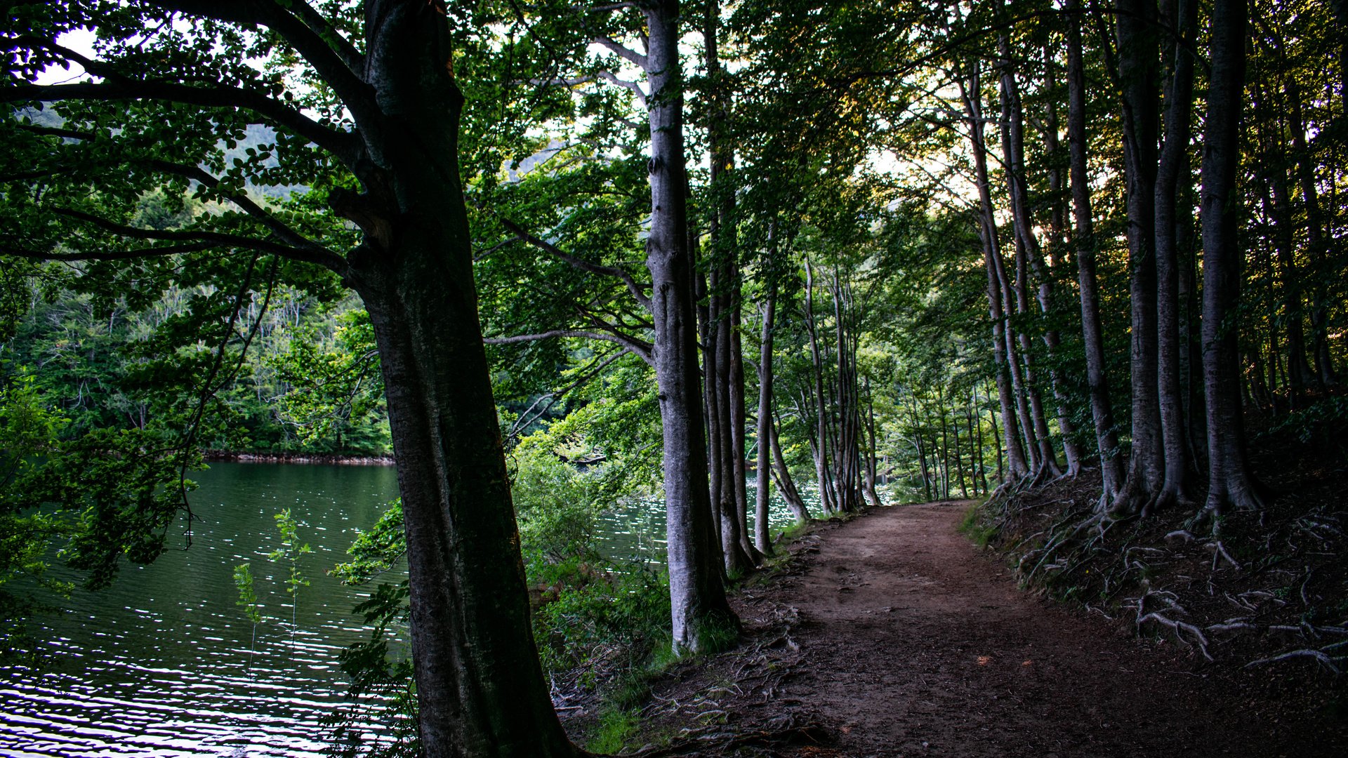 Обои montseny
catalunya, montseny
catalunya разрешение 6000x4000 Загрузить