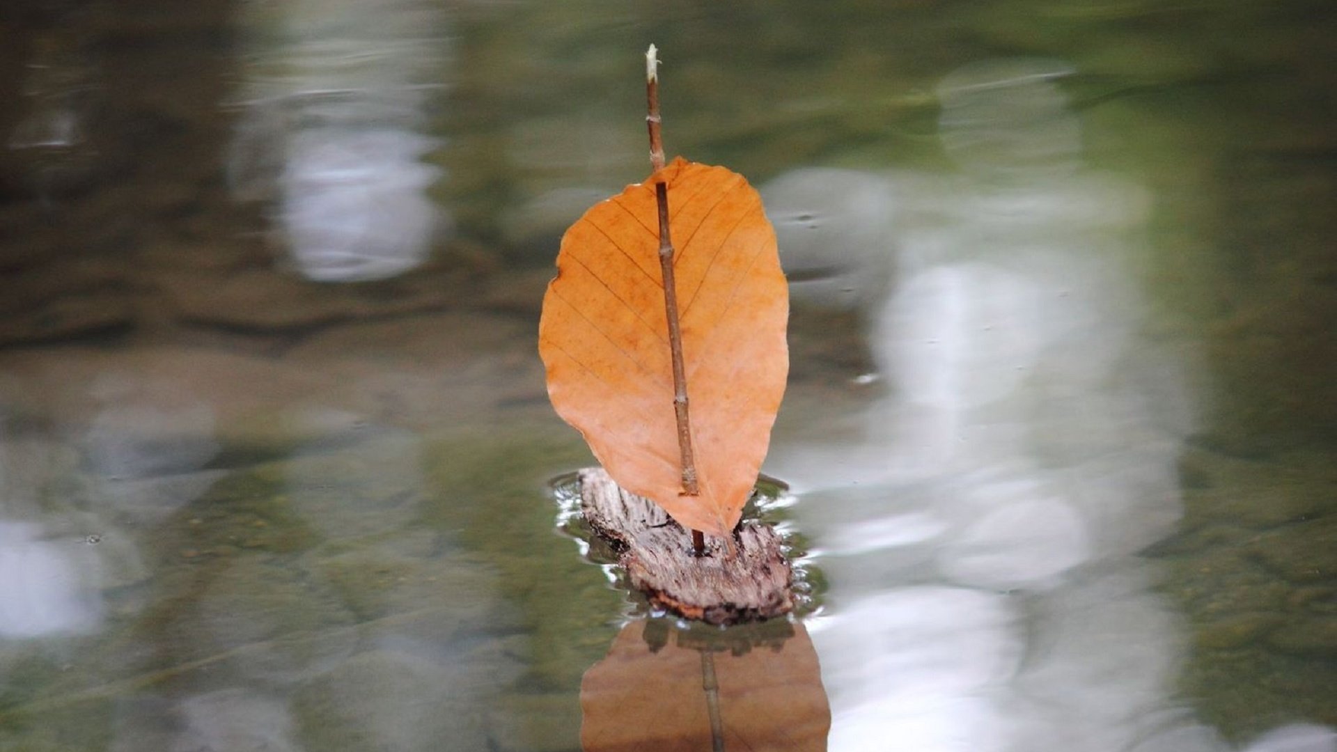 Обои осень, листик, лужа, парус, autumn, leaf, puddle, sail разрешение 1920x1280 Загрузить