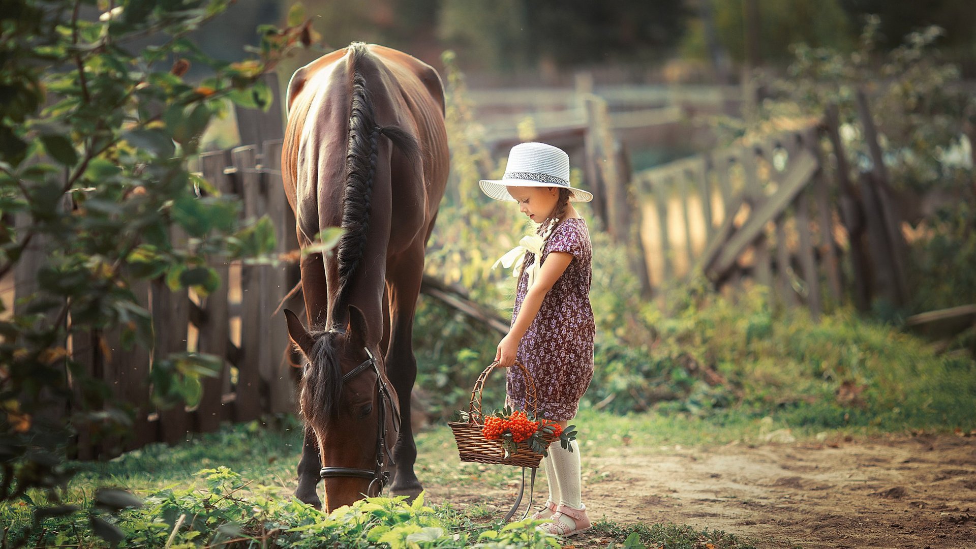 Обои лошадь, девочка, корзина, рябина, horse, girl, basket, rowan разрешение 2112x1188 Загрузить