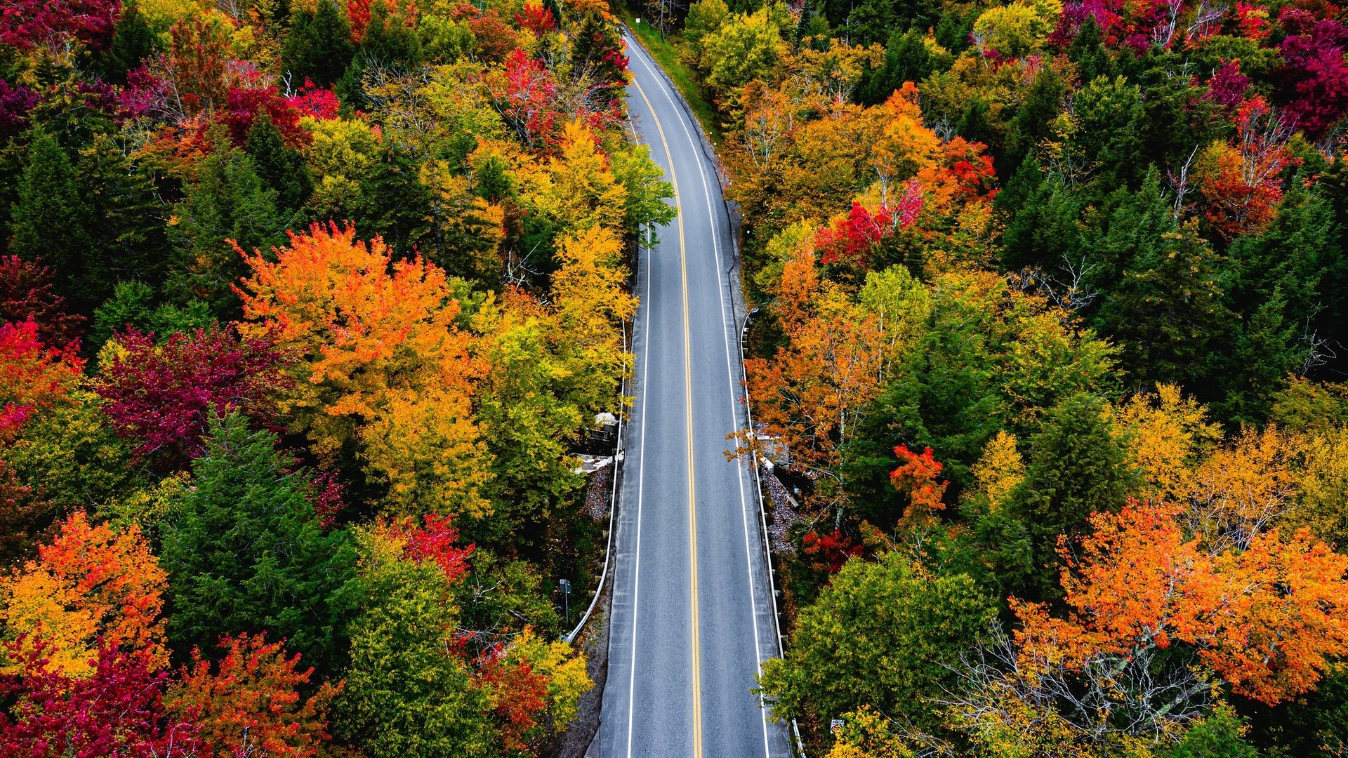 Обои дорога, деревья, лес, осень, вермонт, smugglers notch, road, trees, forest, autumn, vermont разрешение 2048x1280 Загрузить