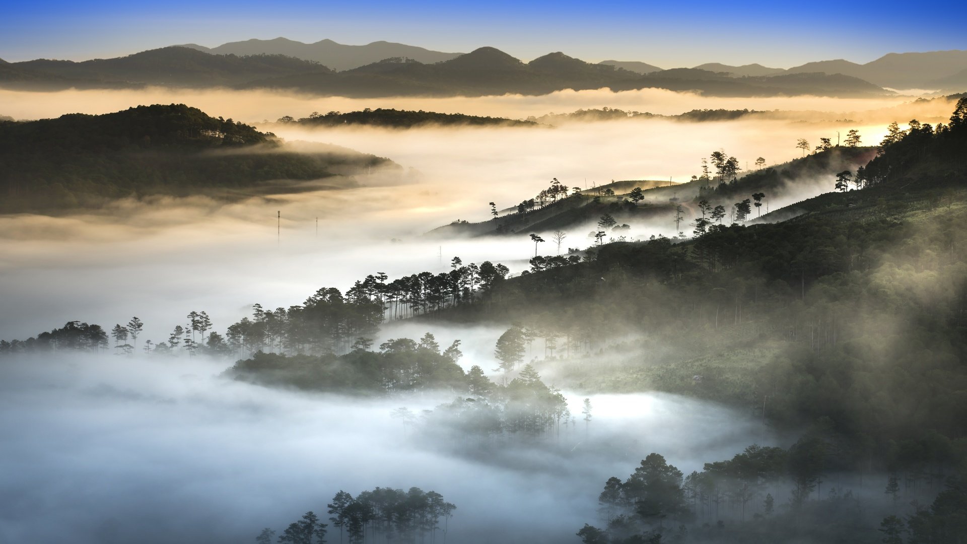Обои деревья, холмы, природа, утро, туман, вьетнам, trees, hills, nature, morning, fog, vietnam разрешение 7680x4262 Загрузить
