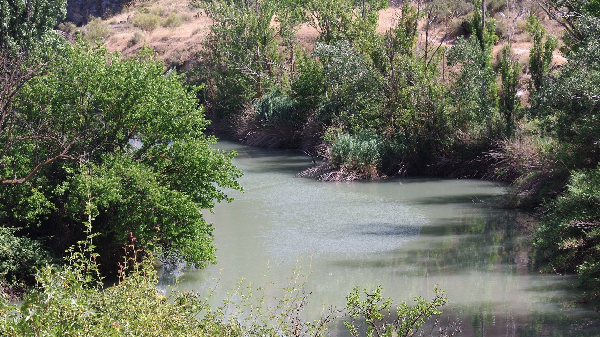 Обои вода, река, природа, отражение, испания, растительность, water, river, nature, reflection, spain, vegetation разрешение 2000x1338 Загрузить