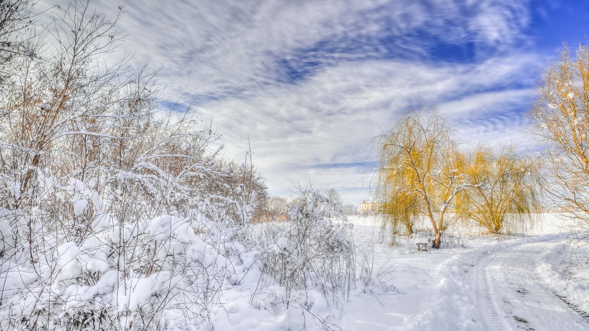 Обои дорога, деревья, снег, зима, пейзаж, road, trees, snow, winter, landscape разрешение 2560x1600 Загрузить