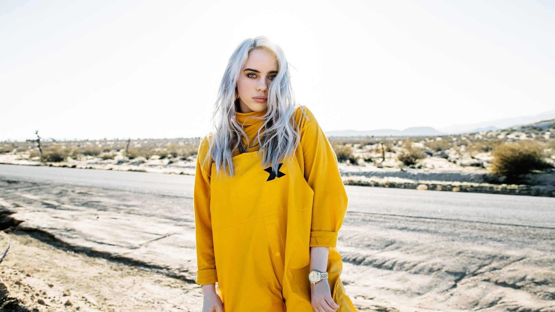 Обои девушка, поза, взгляд, волосы, лицо, певица, билли айлиш, billie eilish, girl, pose, look, hair, face, singer разрешение 2160x1440 Загрузить