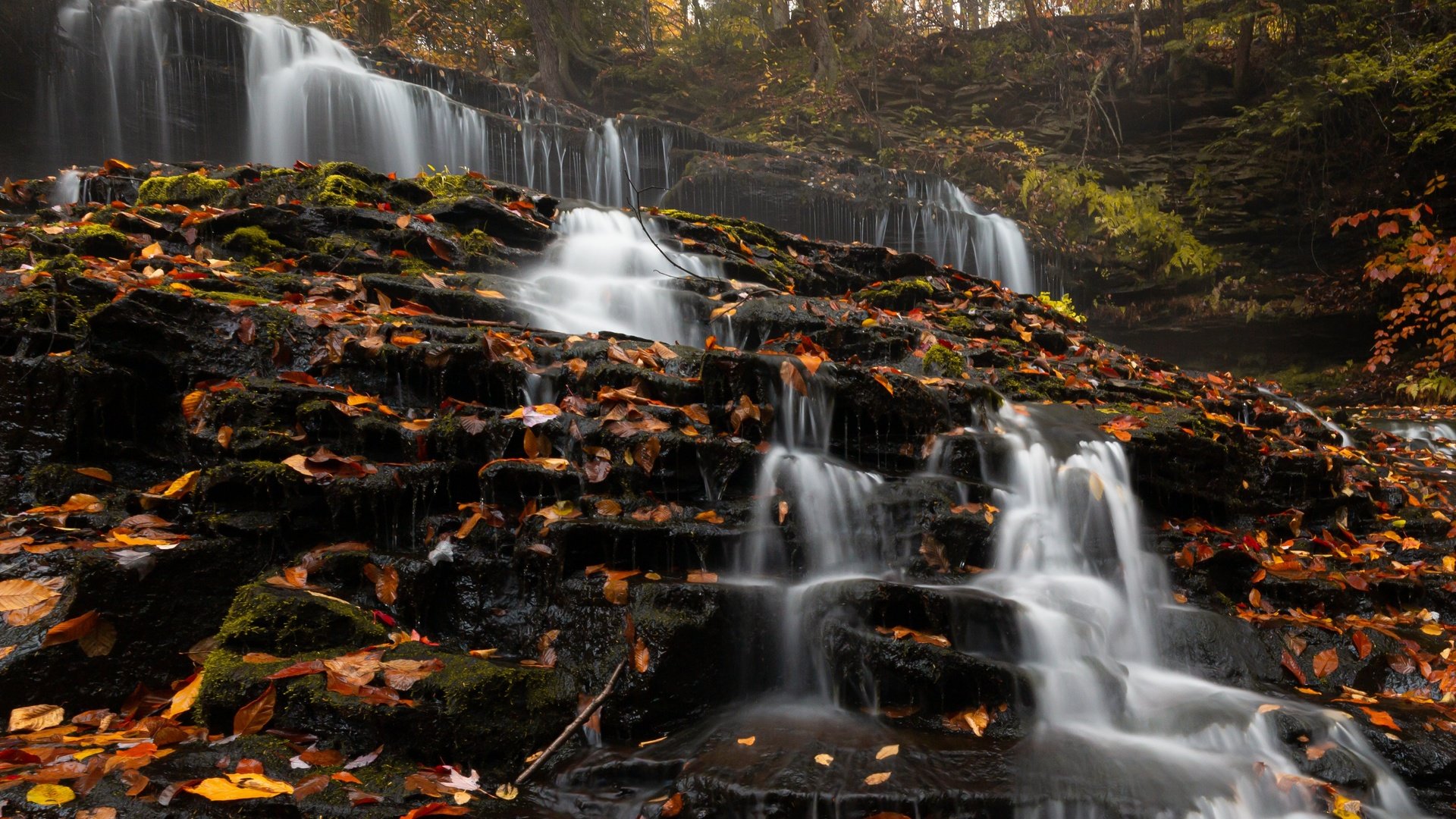 Обои деревья, природа, камни, лес, листья, водопад, сша, trees, nature, stones, forest, leaves, waterfall, usa разрешение 3715x2477 Загрузить