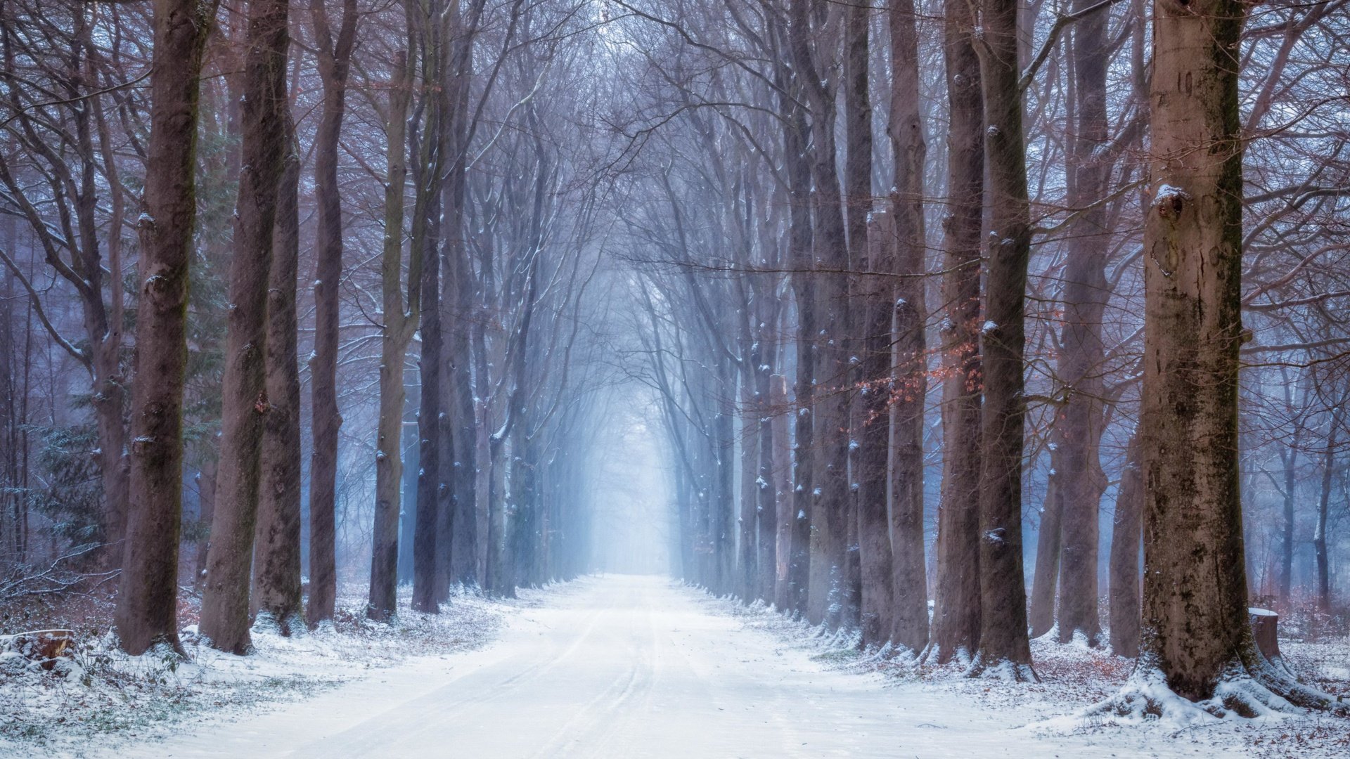 Обои дорога, лес, зима, road, forest, winter разрешение 3840x2160 Загрузить