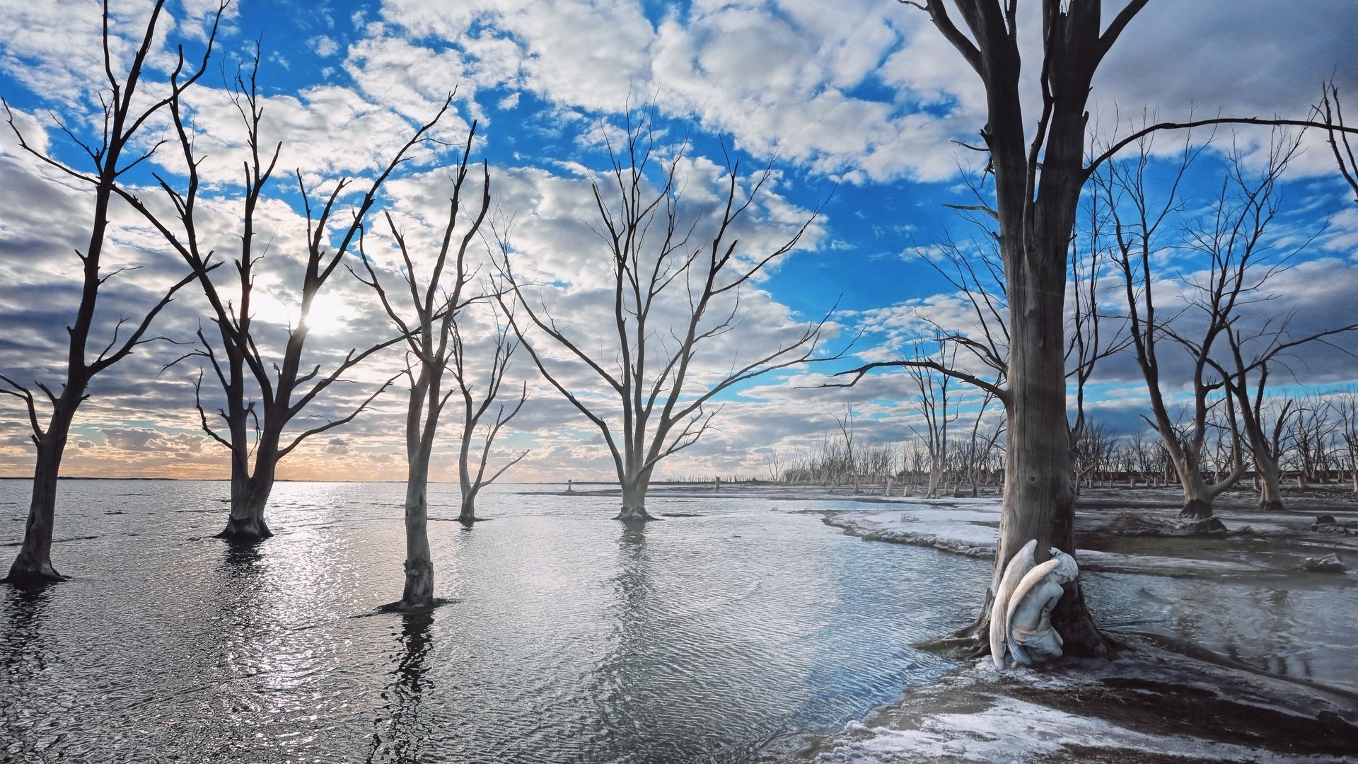 Обои небо, деревья, природа, the sky, trees, nature разрешение 3840x2160 Загрузить