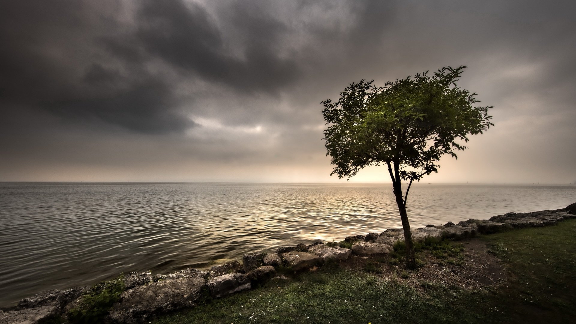 Обои природа, дерево, берег, nature, tree, shore разрешение 3840x2160 Загрузить