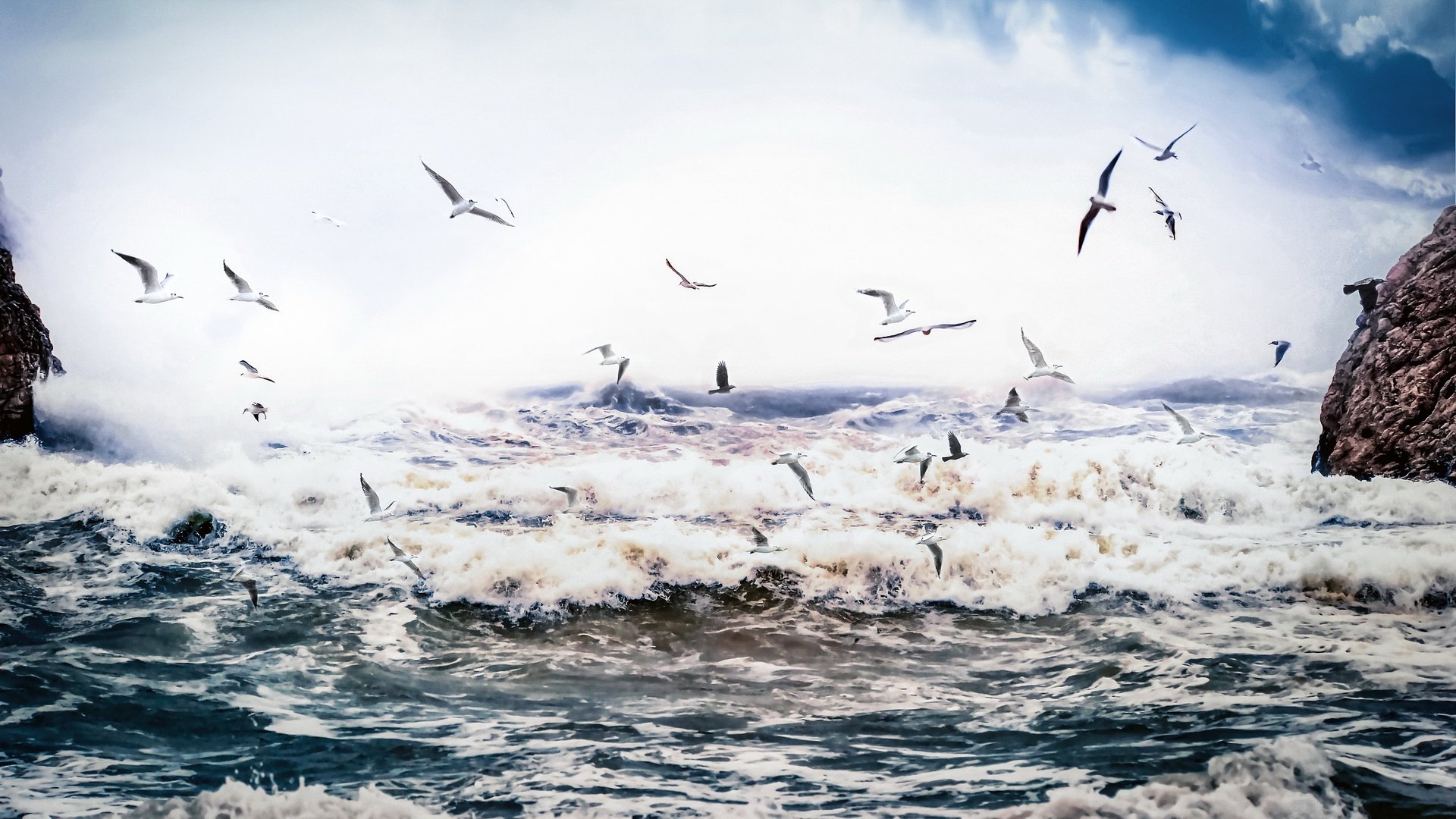 Обои природа, море, птицы, nature, sea, birds разрешение 3840x2160 Загрузить