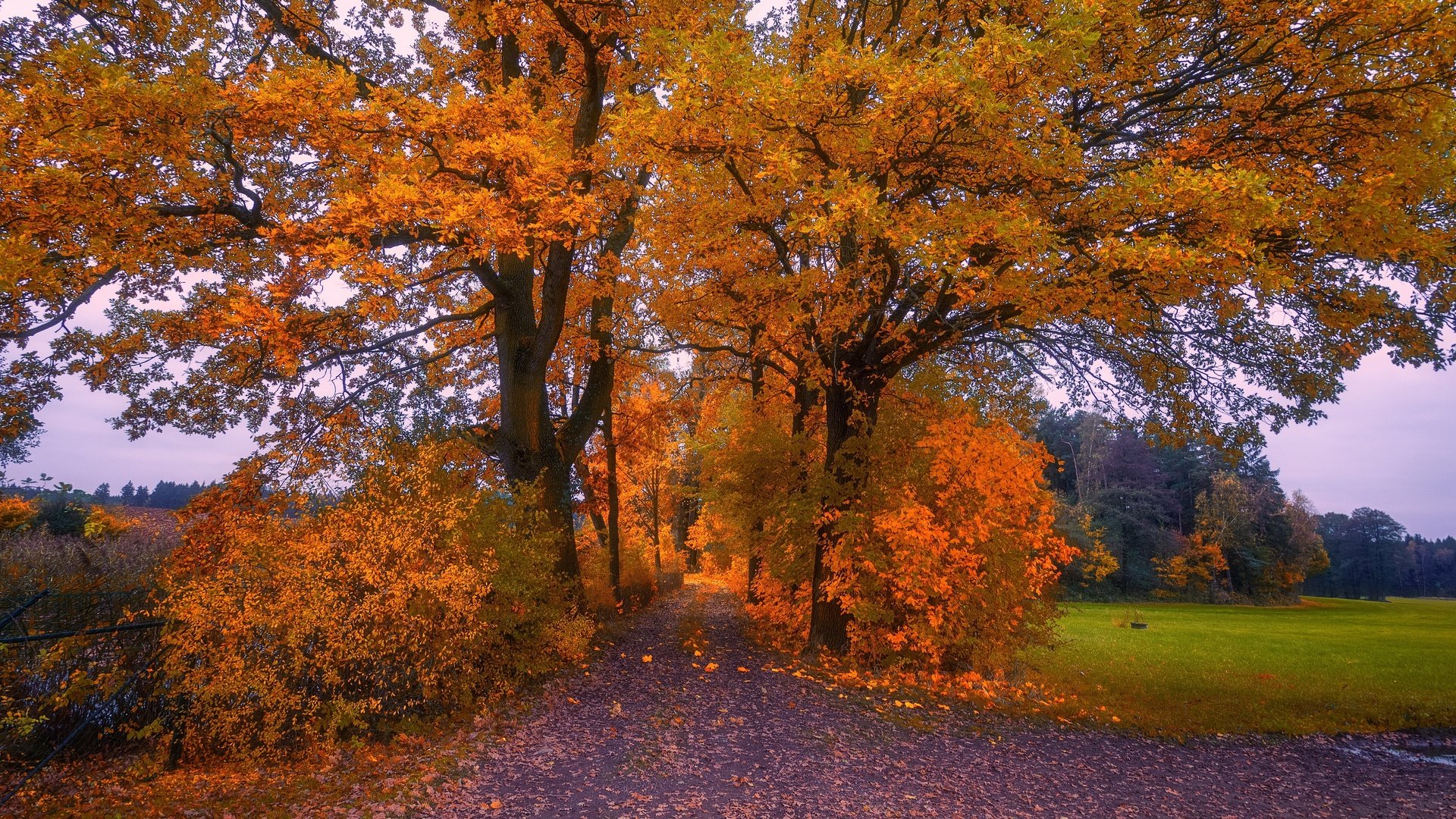Обои природа, осень, nature, autumn разрешение 3840x2160 Загрузить