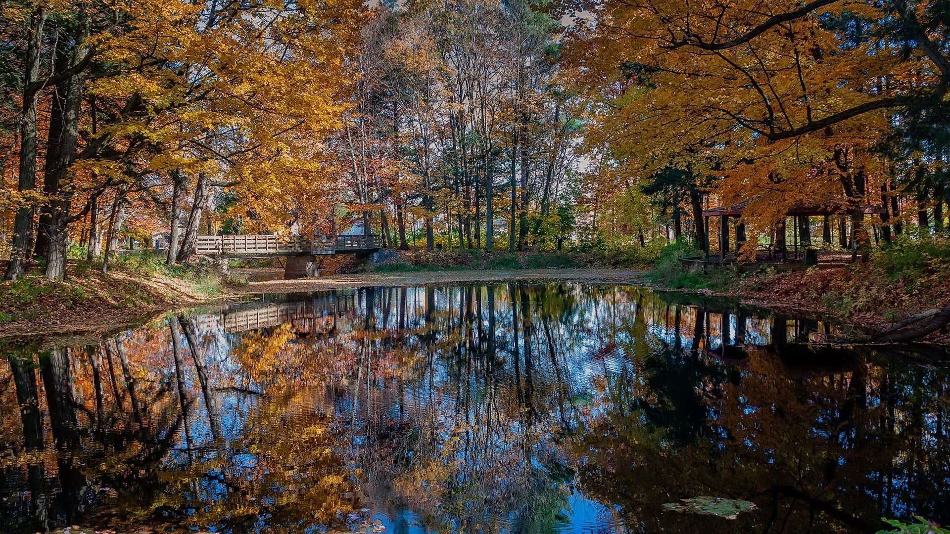 Обои деревья, природа, отражение, парк, мост, осень, trees, nature, reflection, park, bridge, autumn разрешение 2123x1329 Загрузить